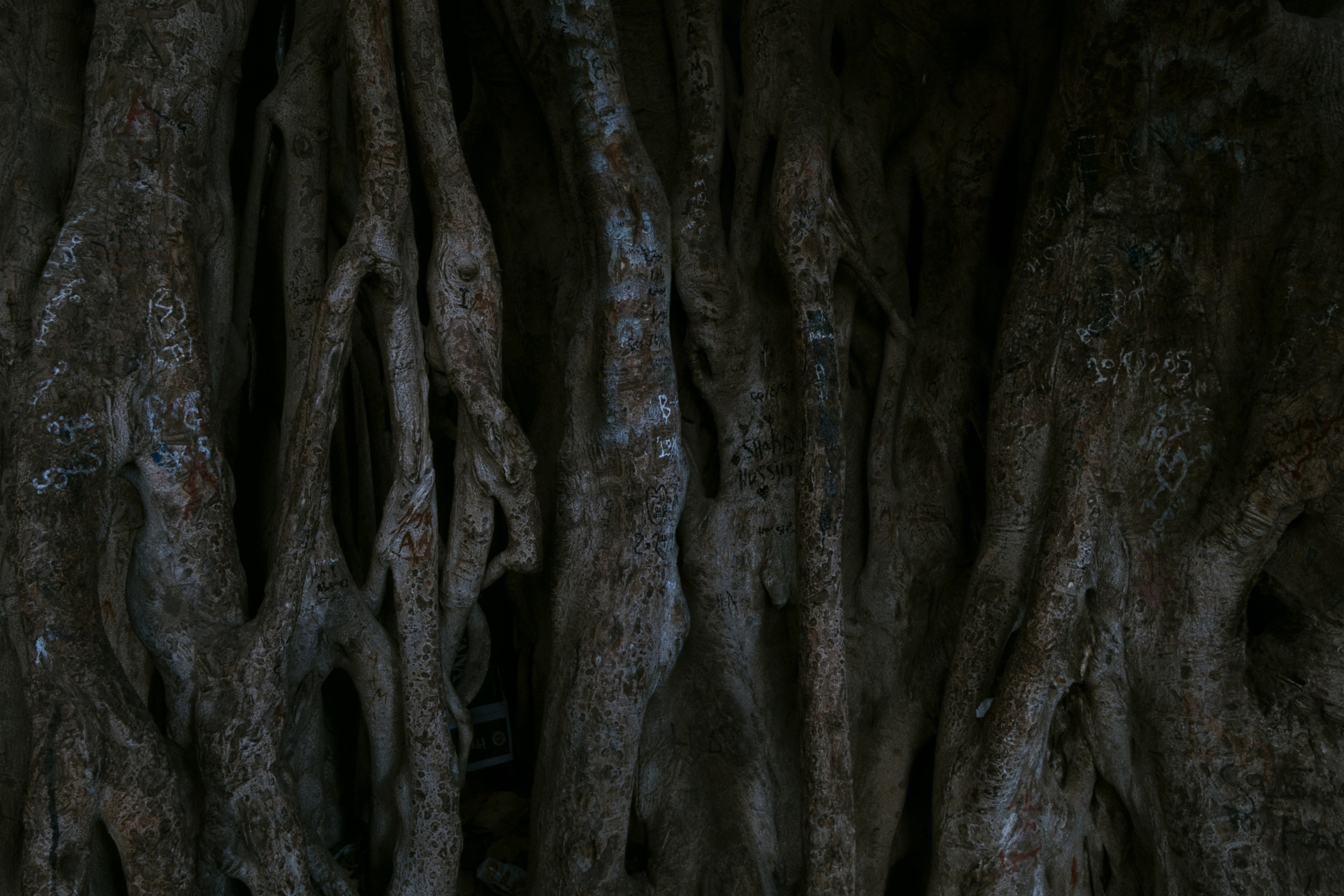 Cairo / Egypt AW25. Фотограф Юрин Евгений