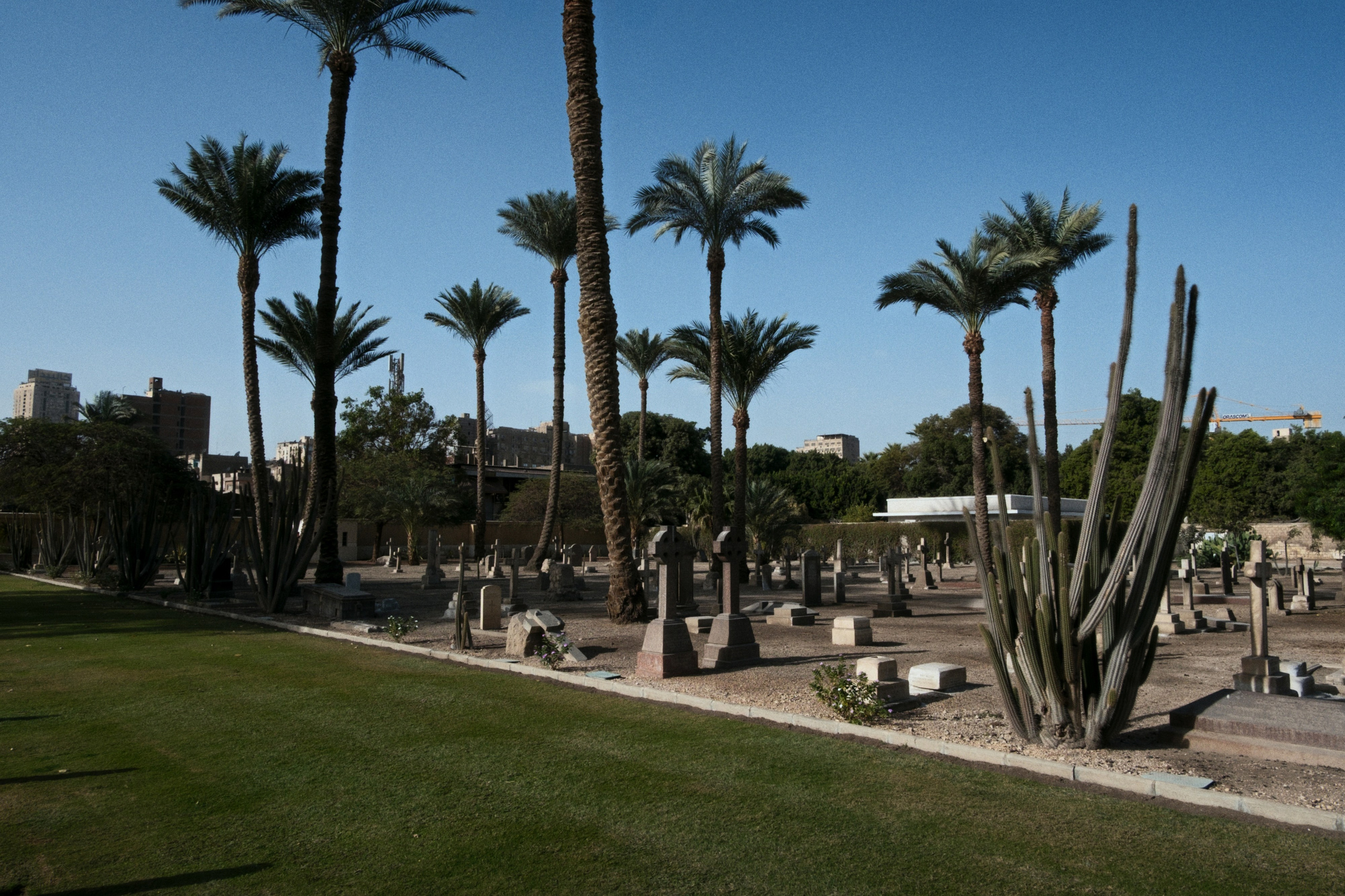 War Memorial Cemetery / Cairo, Egypt AW25. Фотограф Юрин Евгений