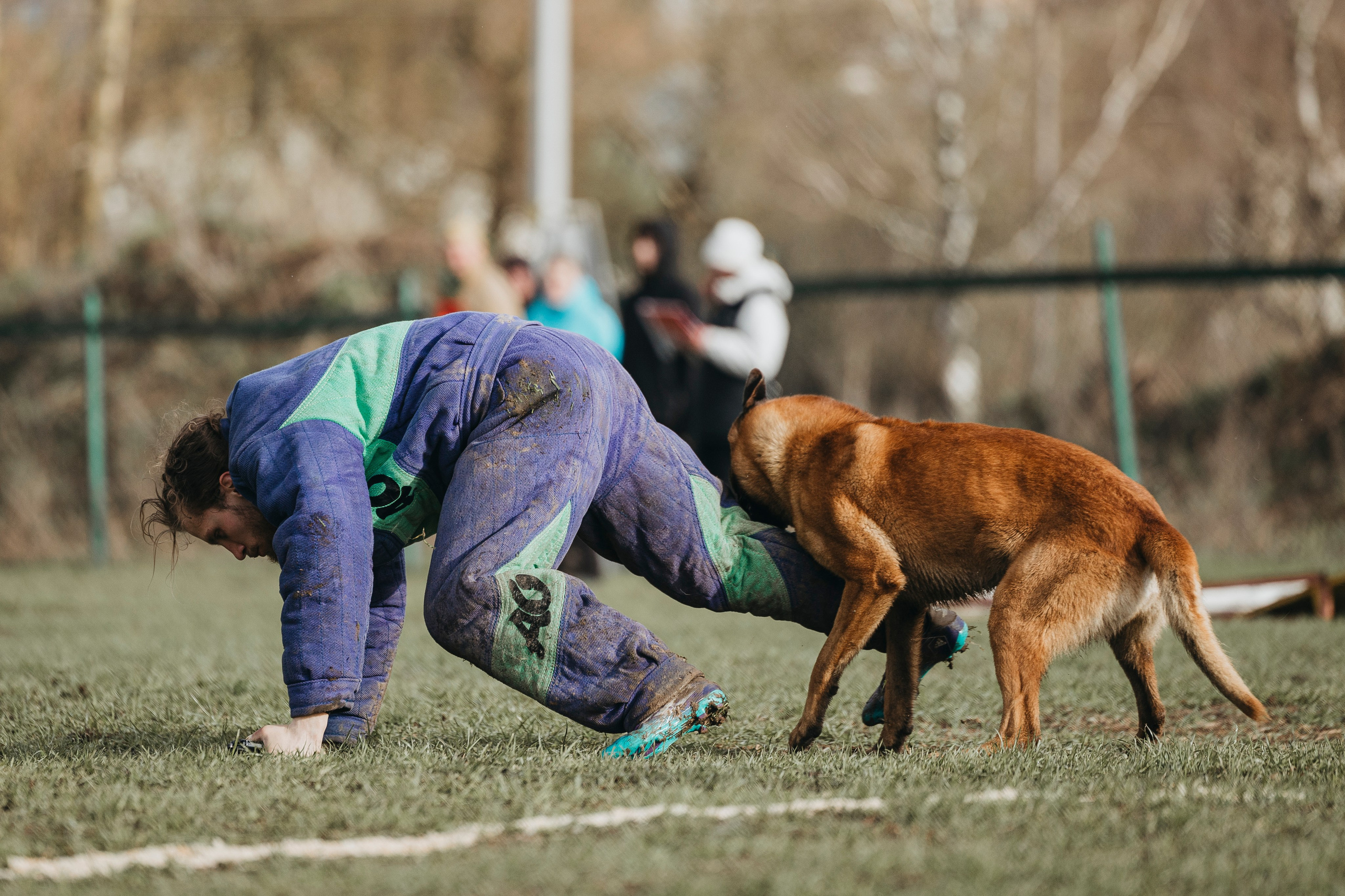 09.05.25 Вологда соревнования. Фотограф-анималист Анна Маринич