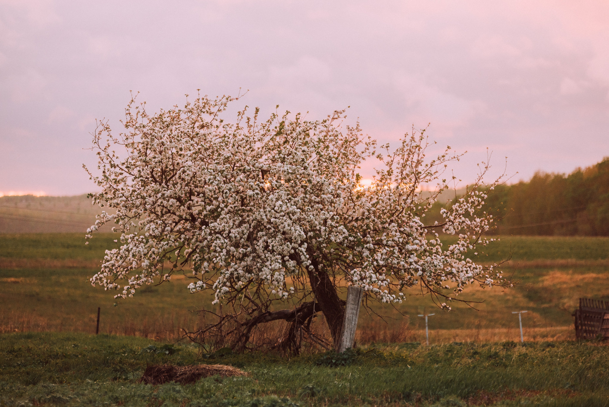 ПОРТФОЛИО. Художник, фотограф и арт-терапевт в Казани Аймалетдинова Альмира