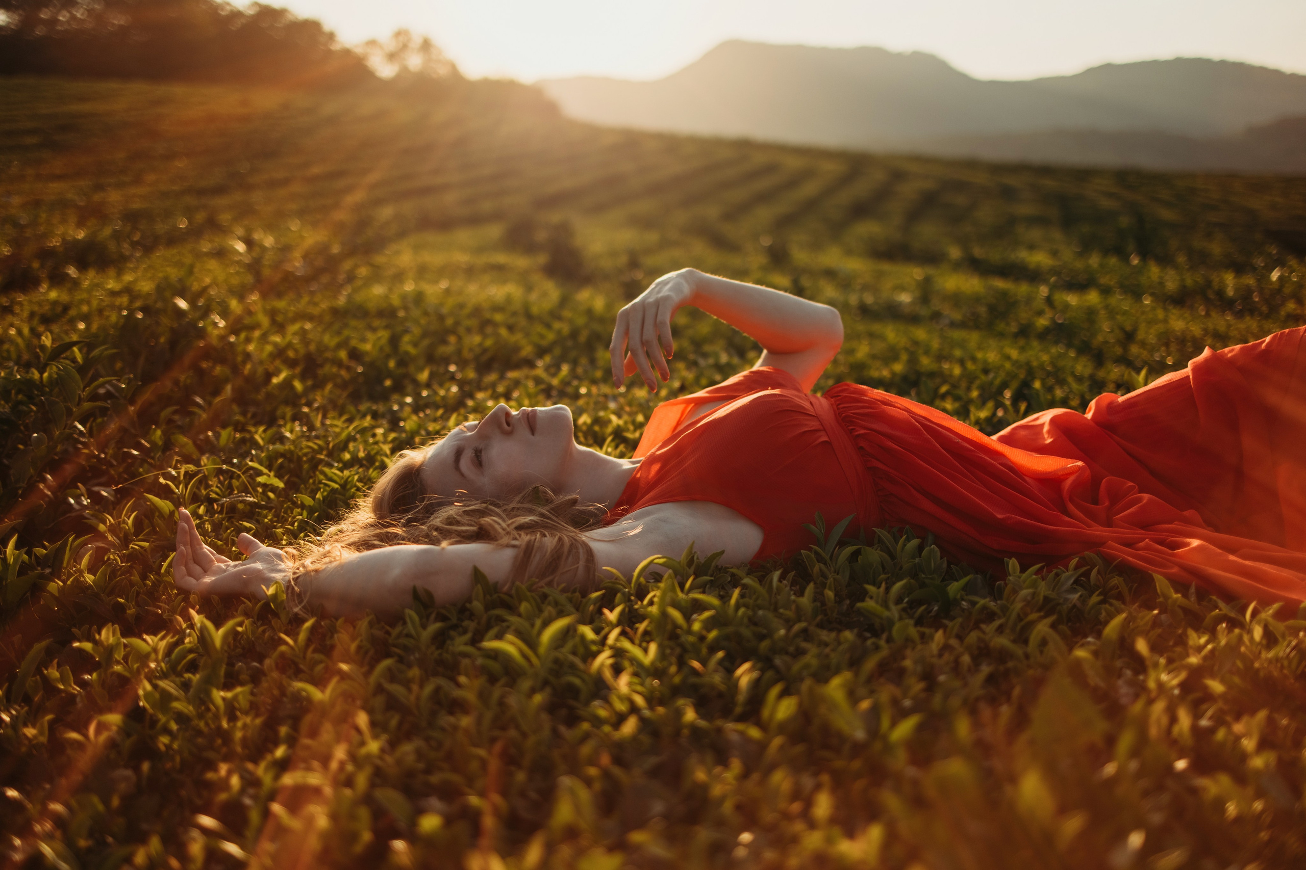 Чайные плантации мацеста. Фотограф Сочи Татьяна Зорина