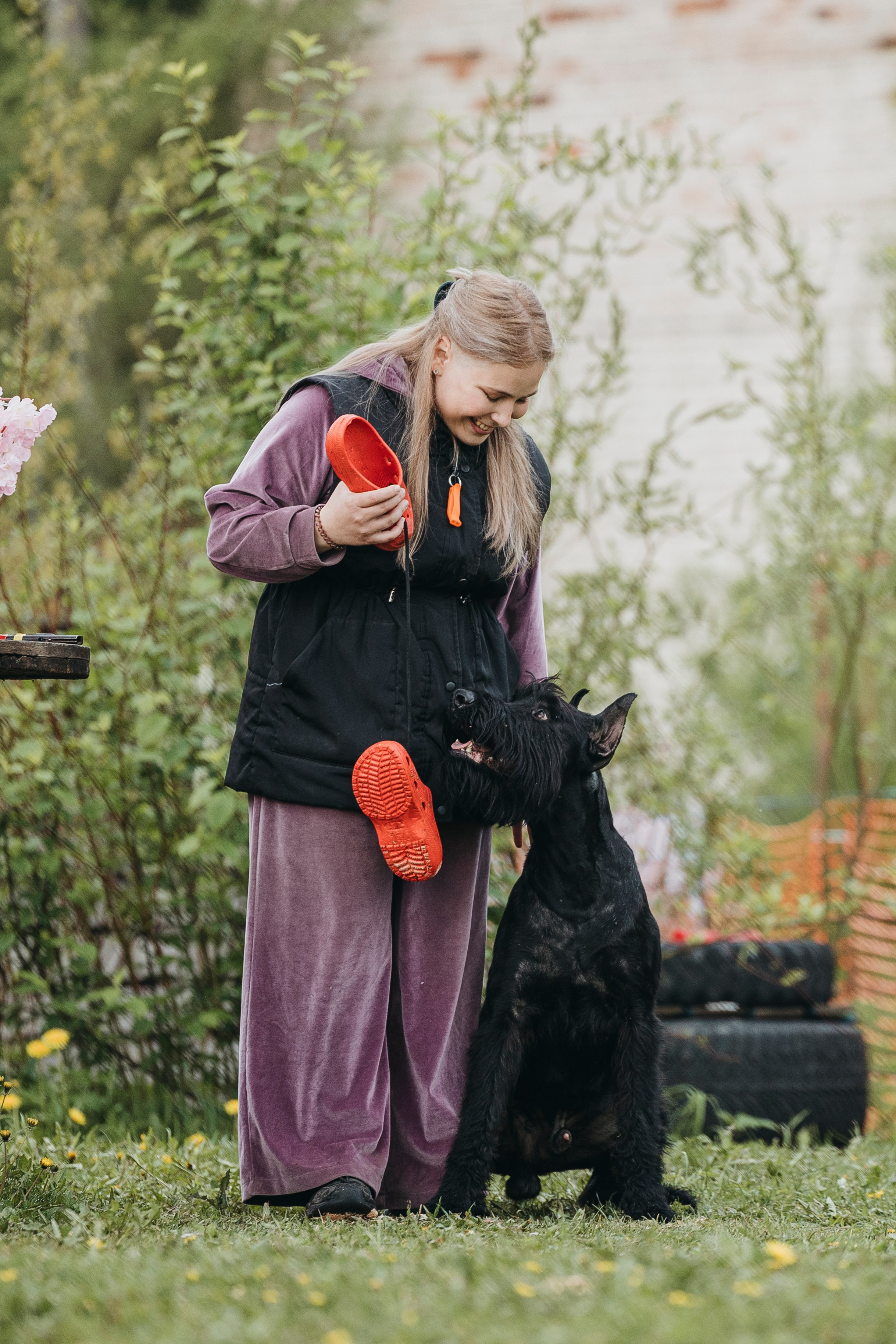 26.05.25 г. Пушкин квалификационные соревнования. Фотограф-анималист Анна Маринич