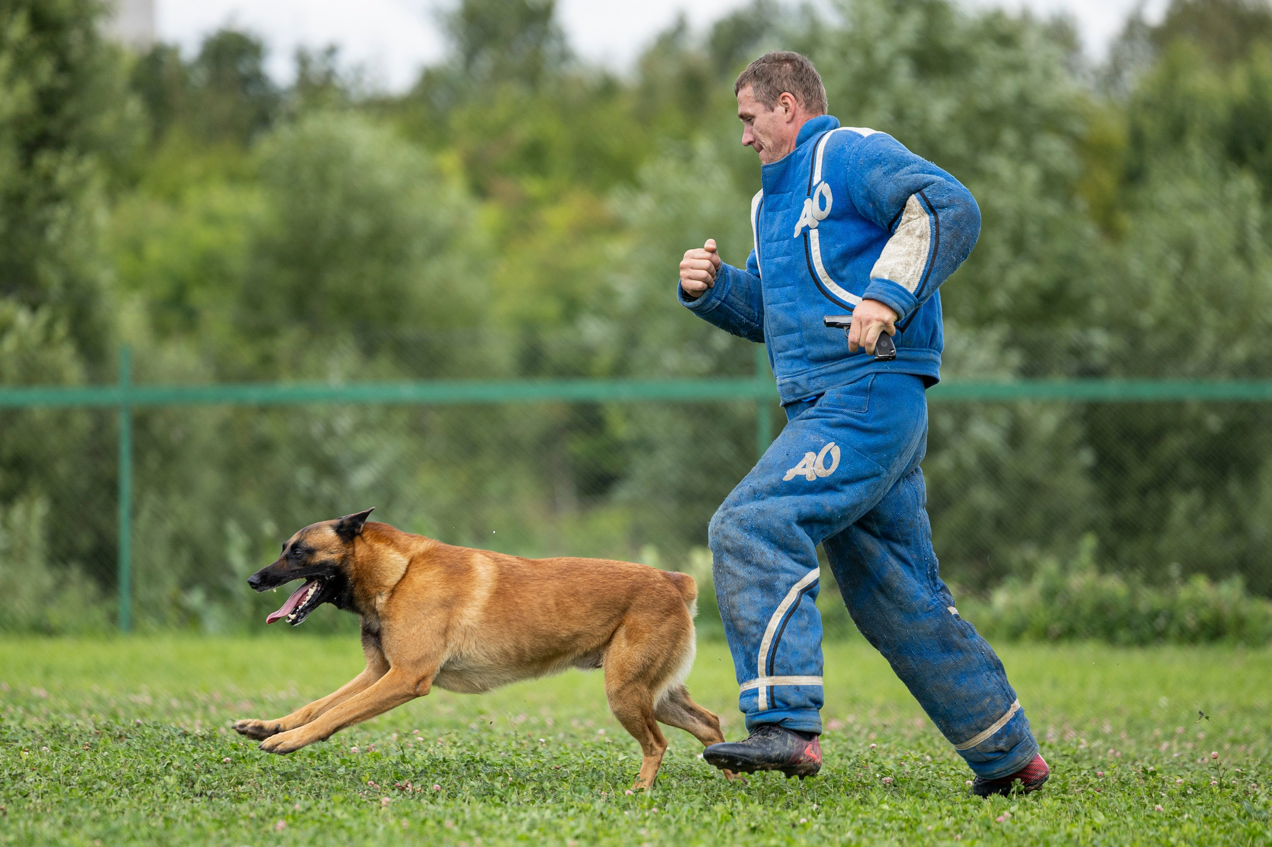 Соревнования по Мондьорингу г. Вологда 10-11.08.2024. Фотограф-анималист Анна Маринич