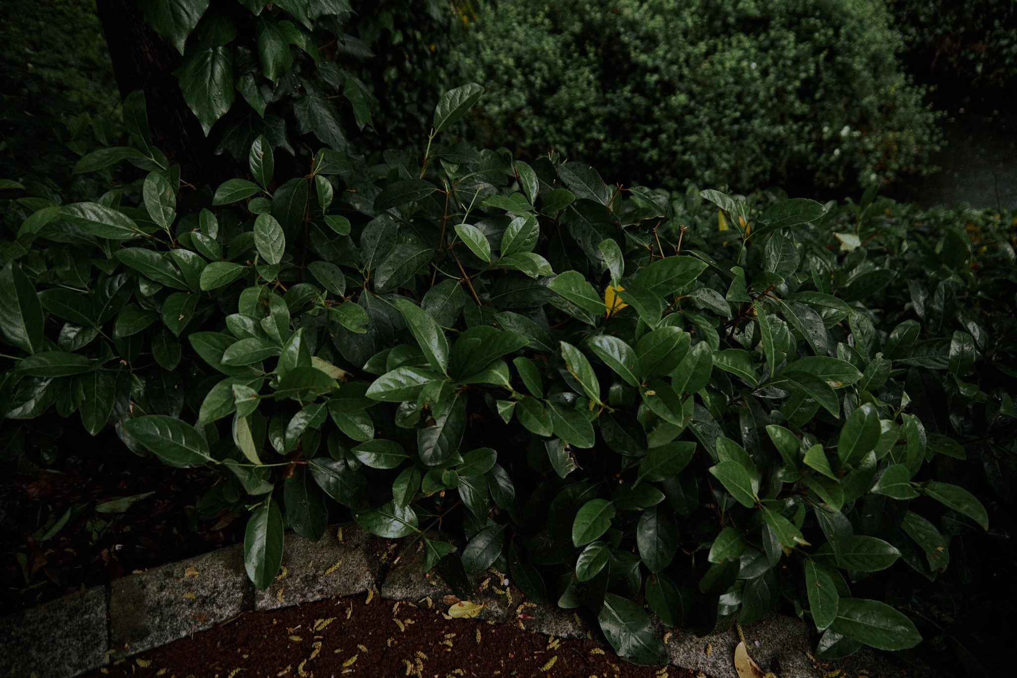 Улица горизонтальная. Jorgis — фотограф в Хургаде / обучение фотографии