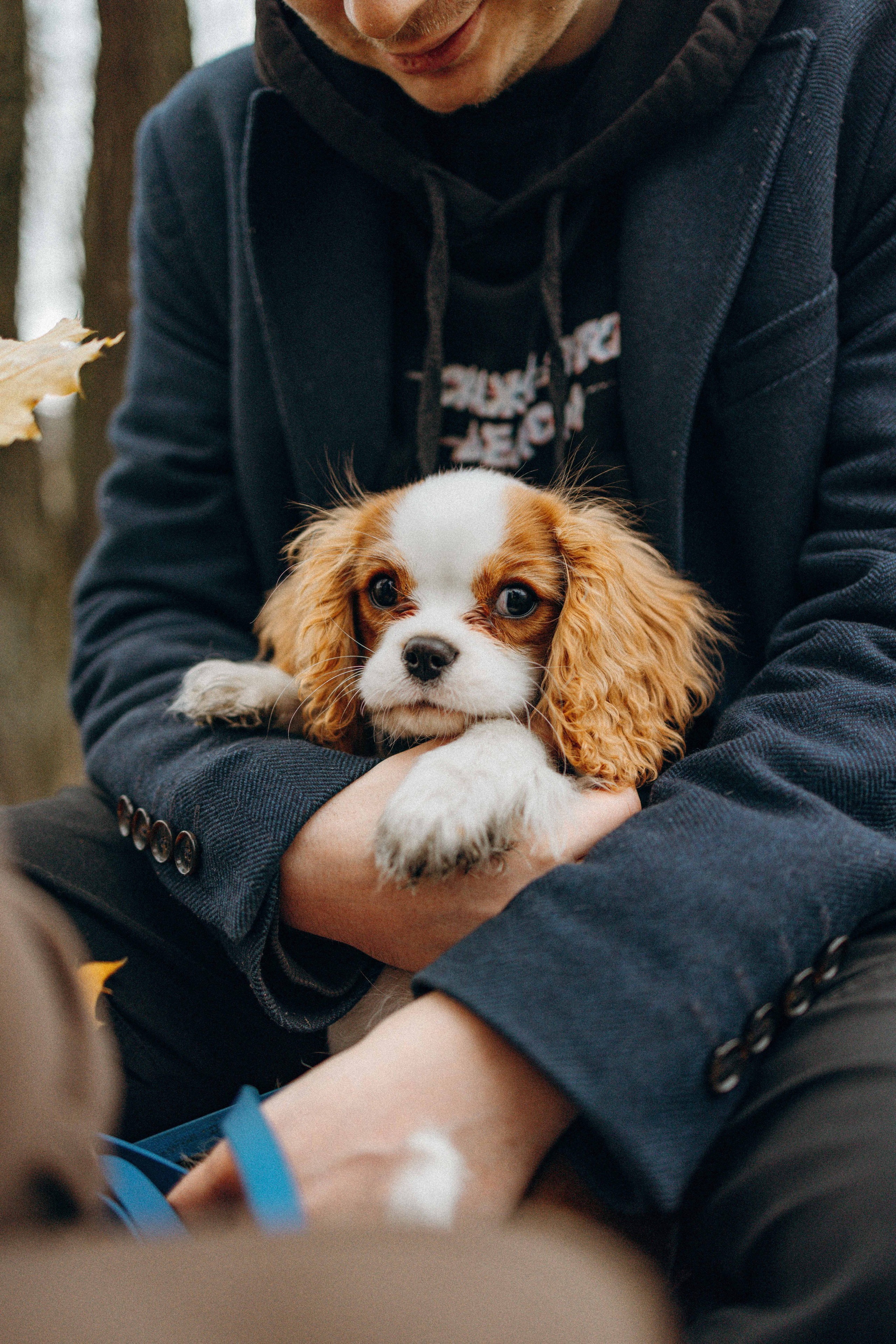Юля и Кипр. Фотограф-анималист в Москве Лера Черноног