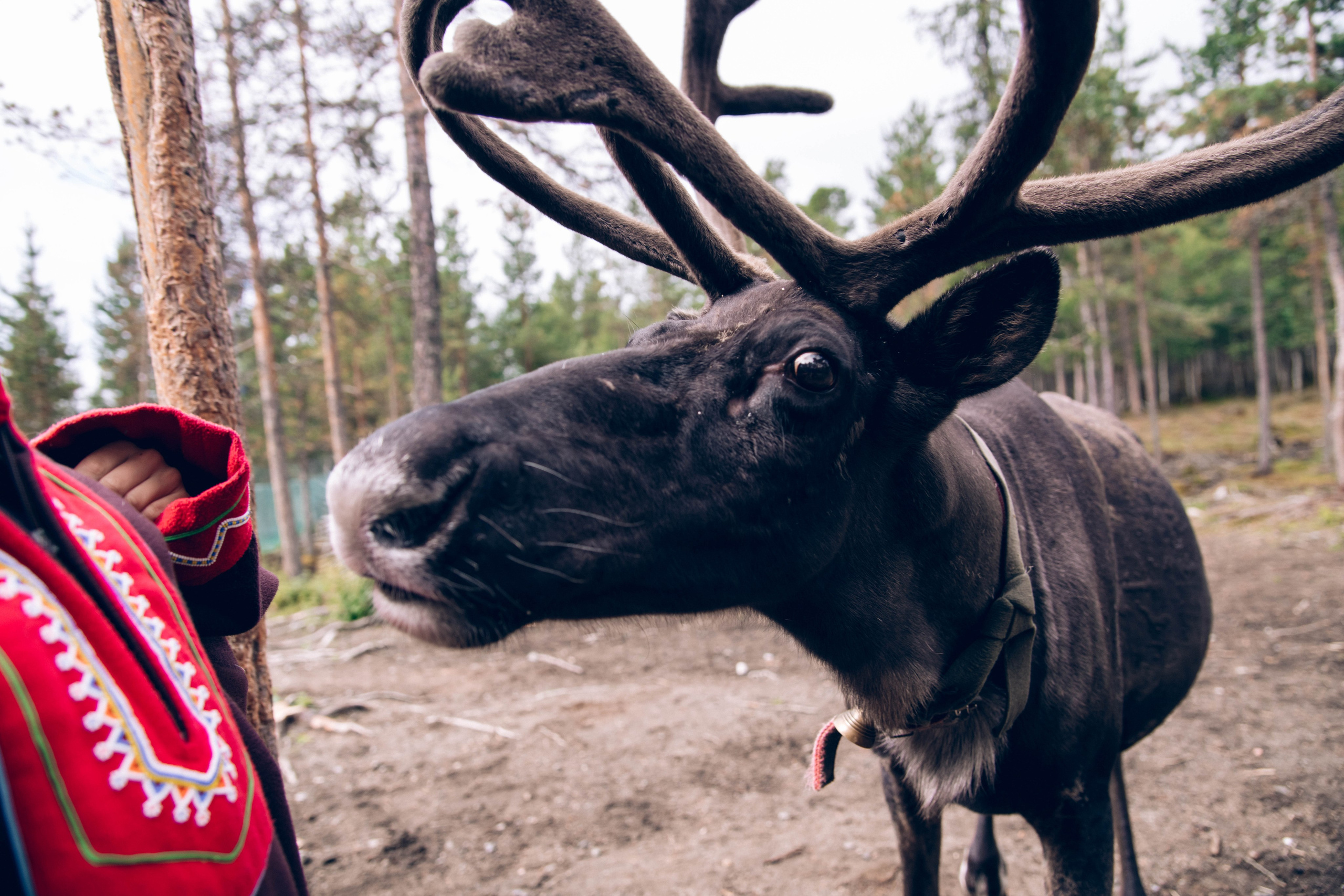 Кольский полуостров. Фотографирую для себя, своей семьи и друзей!