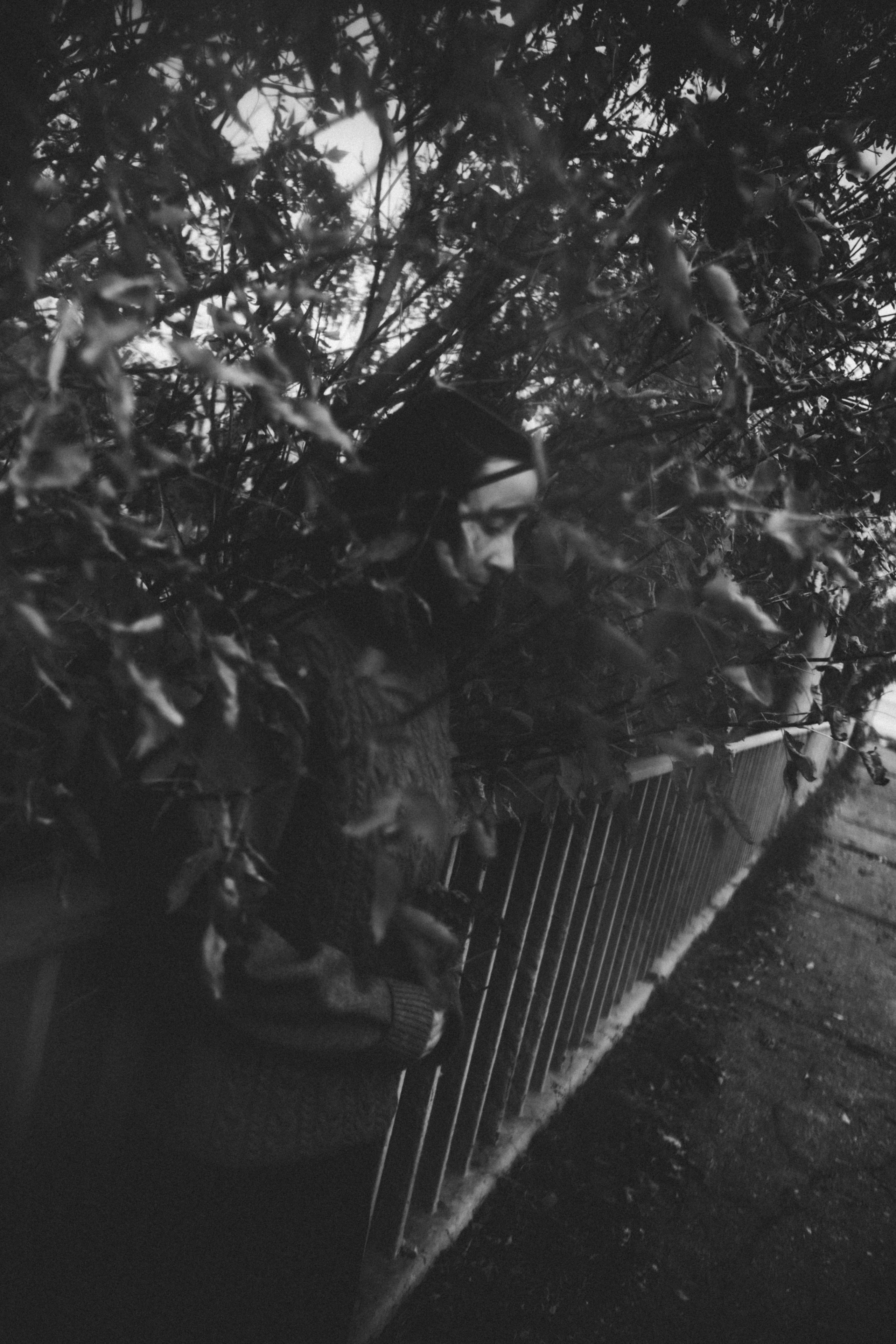 Лейтмотив осени. Аня. Фотограф в Нижнем Новгороде