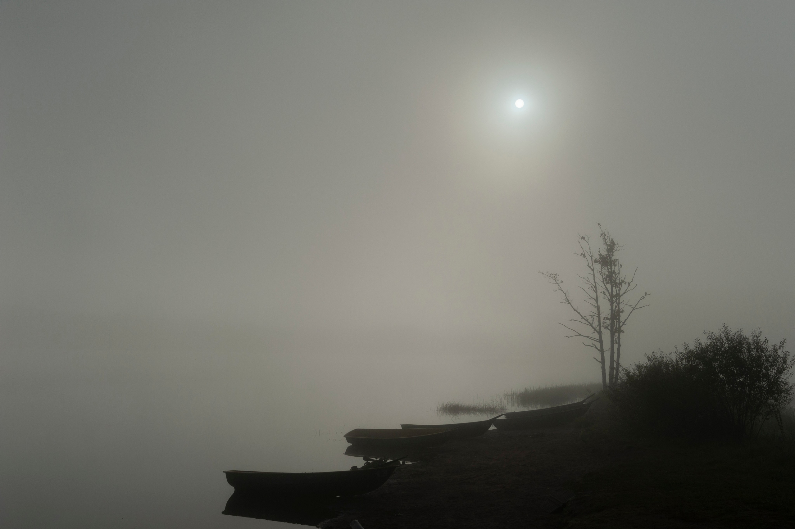 Фотограф Артем Севостьянов. Профессиональная фотосъемка в Ногинске, Москве, Московской области и за границей