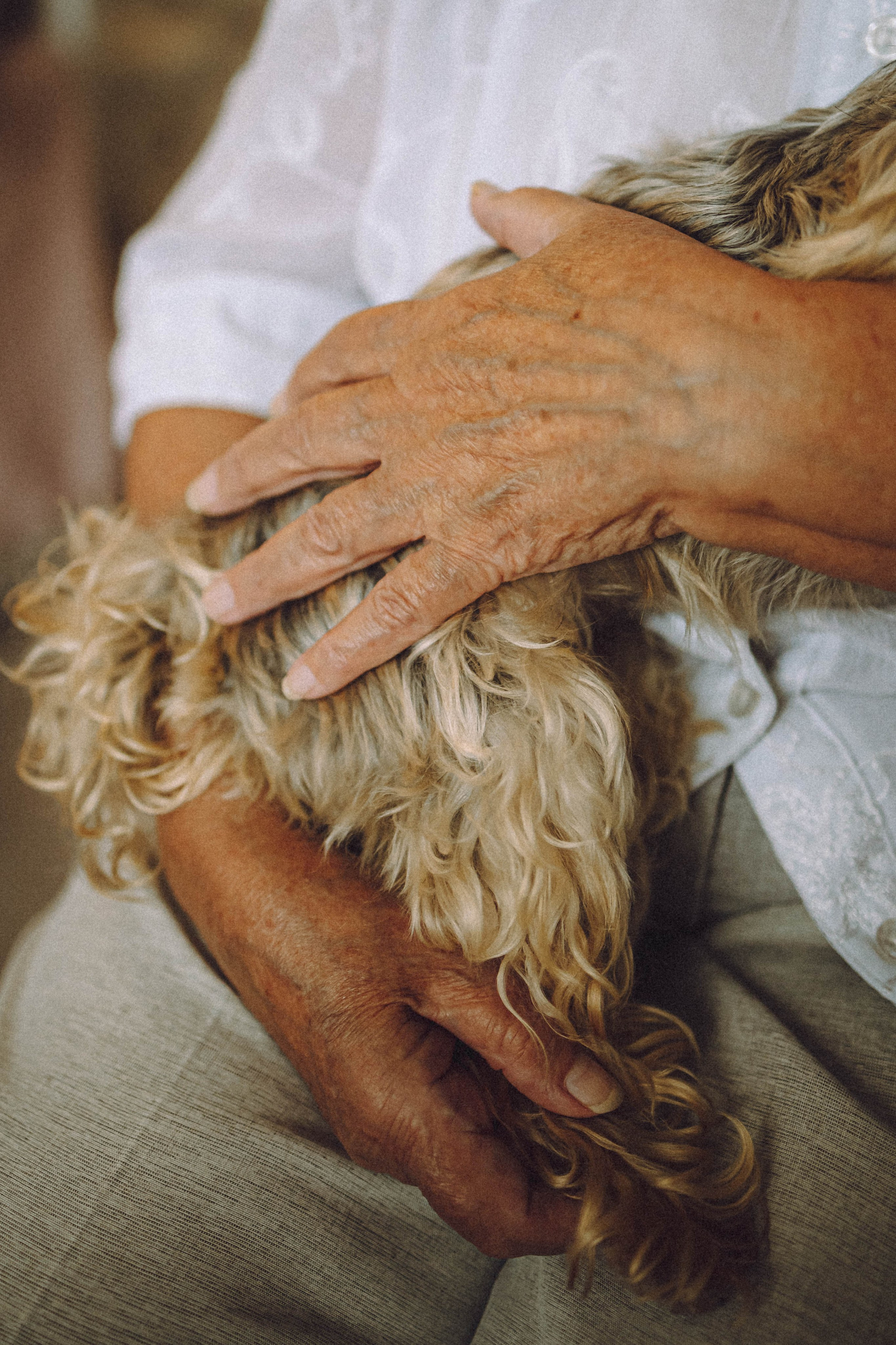 Дэзи и ее семья