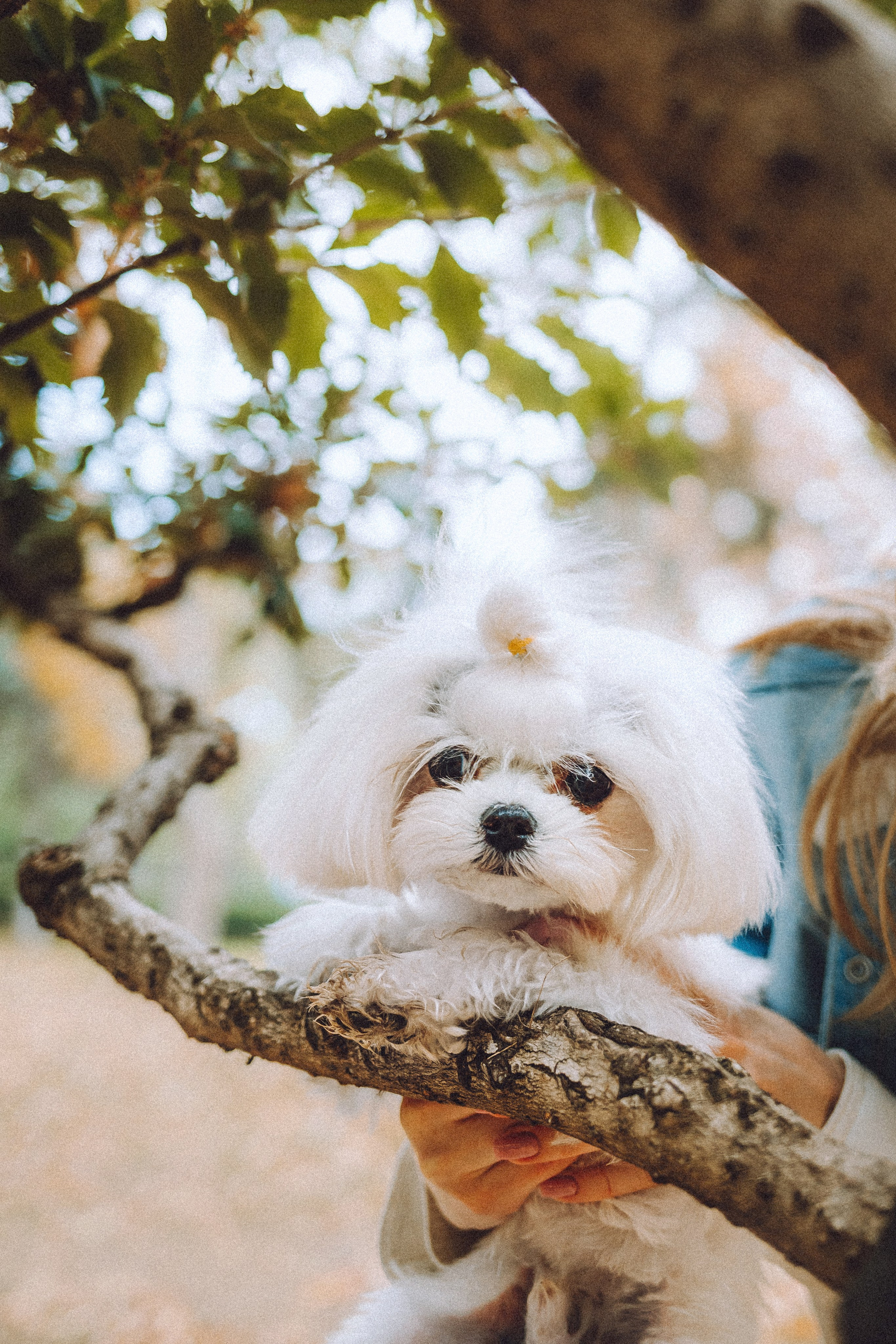 Настя и Гоша