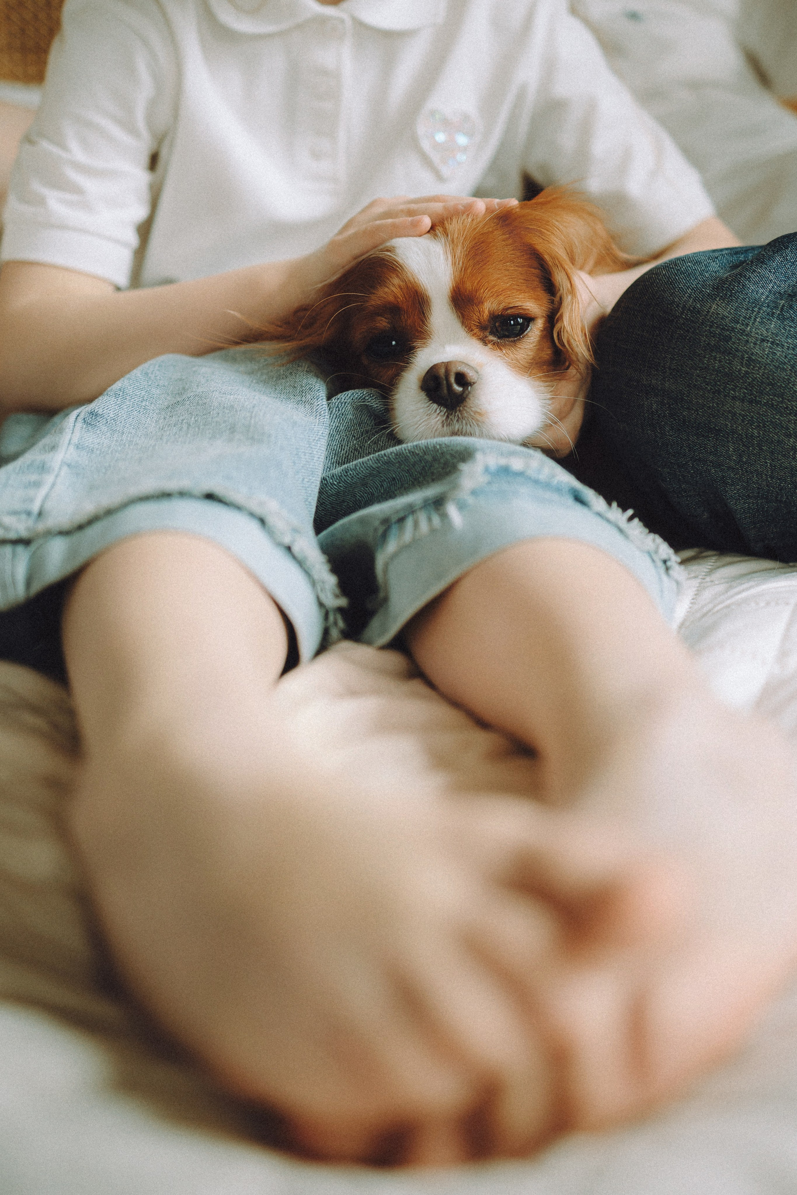 Валя, Вася, Аня и Ириска