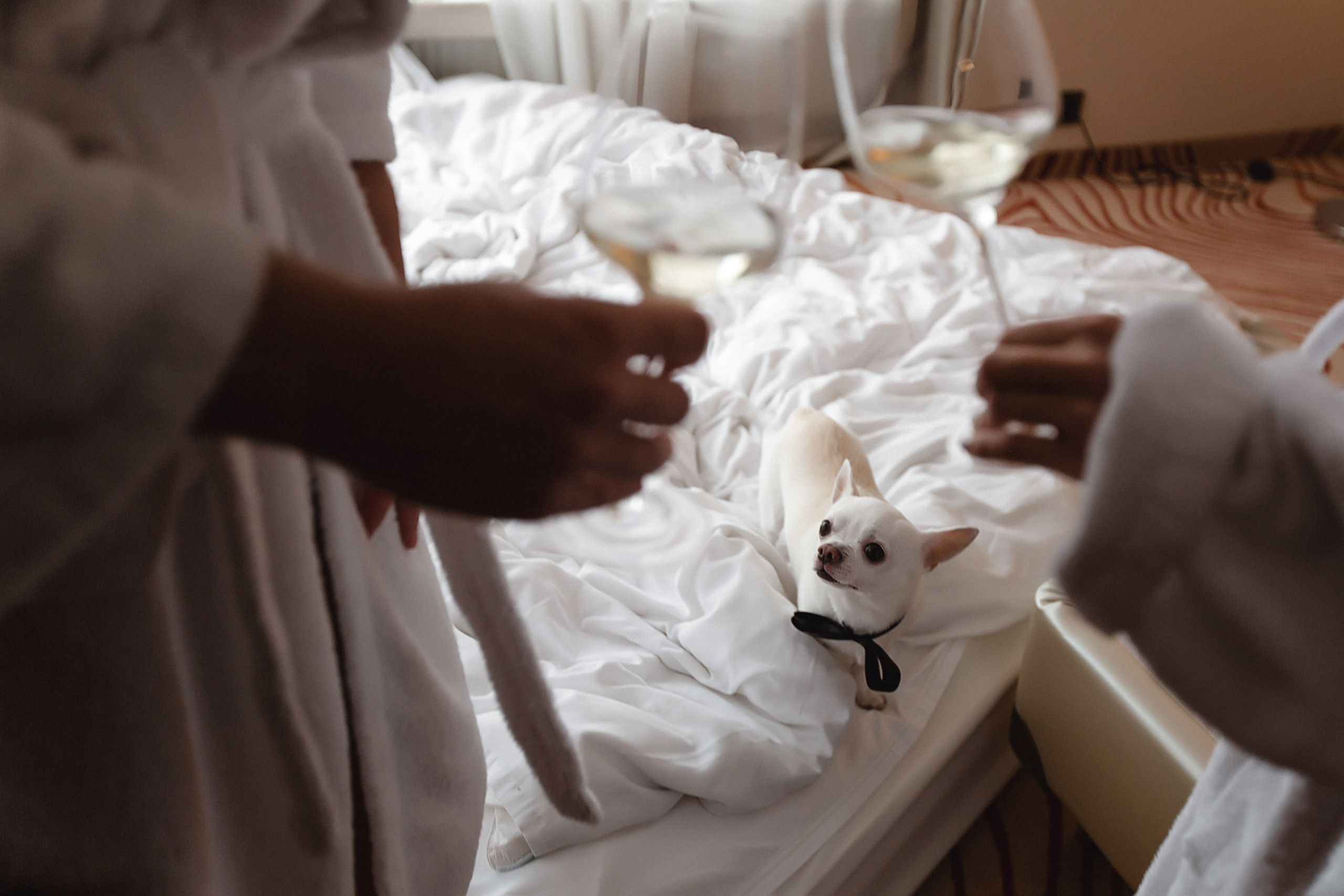 Свадьбы. Фотограф в Новосибирске и Москве