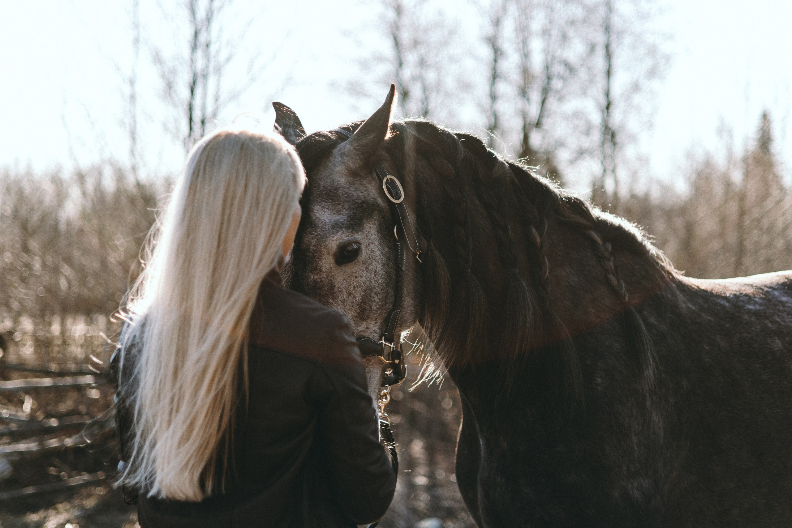 Ирина и Командор. Фотограф анималист Осипчикова Мария