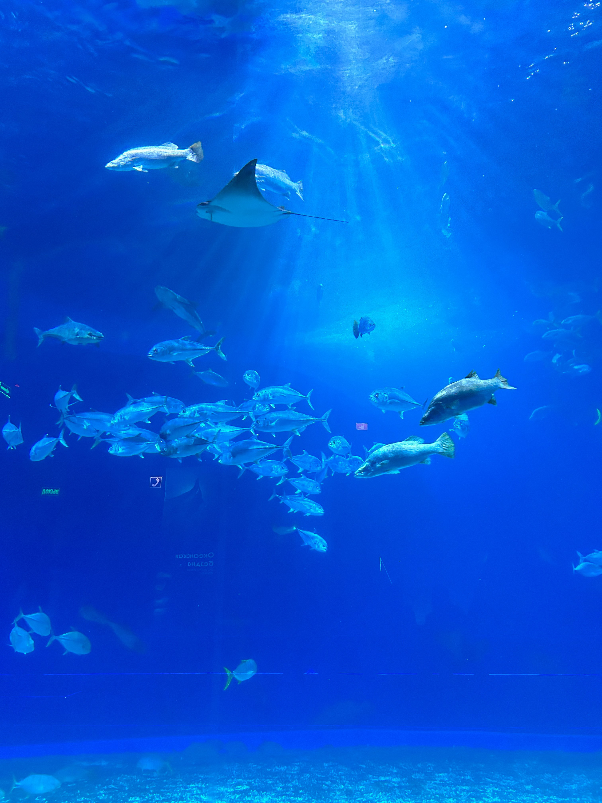 Владивосток. Фотограф Севастополь, Крым. Портретный и репортажный фотограф Коваленко Антонина