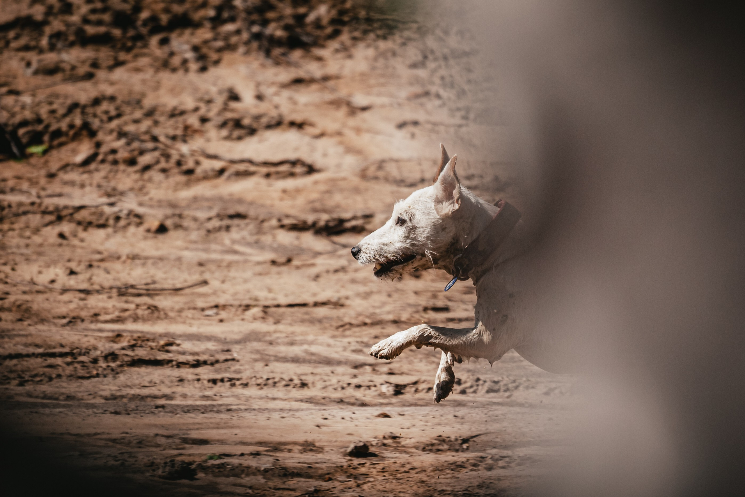Кондуки. Фотограф-анималист Татьяна Степанова