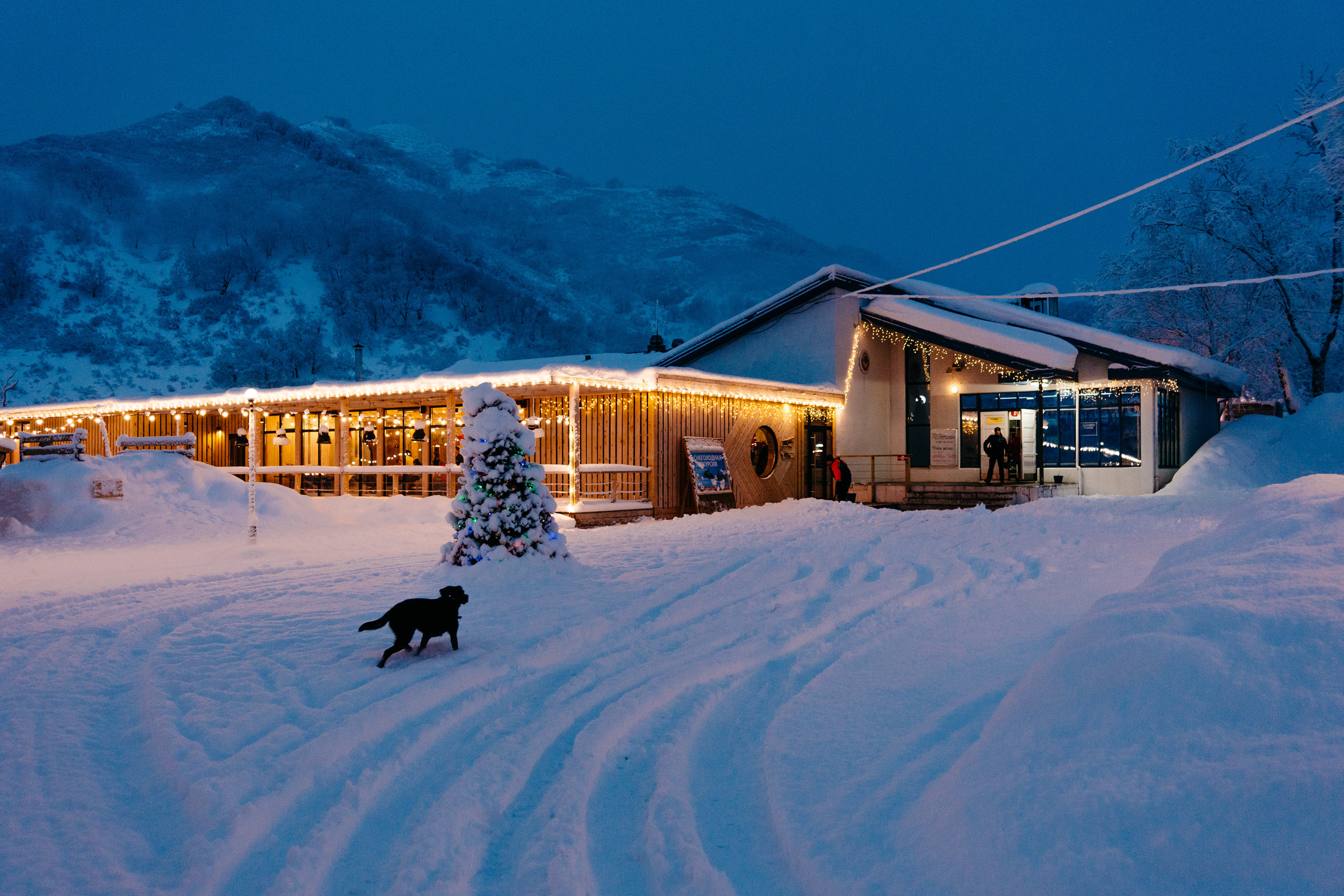 Андрей и Юлия. Свадебный фотограф Камчатка Петровский Павел