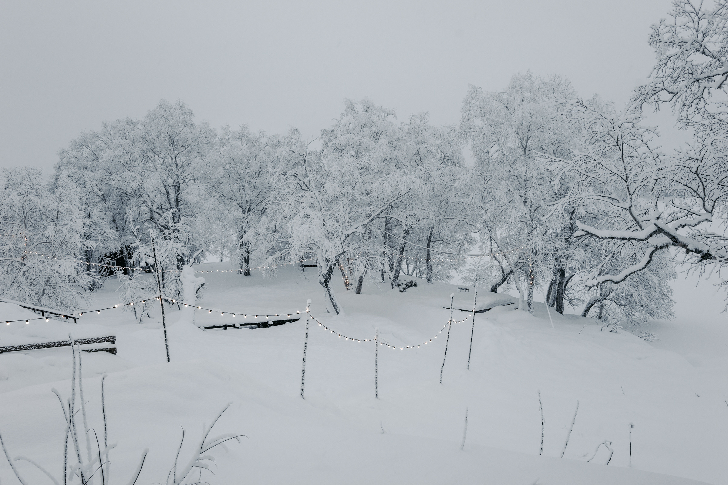 Андрей и Юлия. Свадебный фотограф Камчатка Петровский Павел