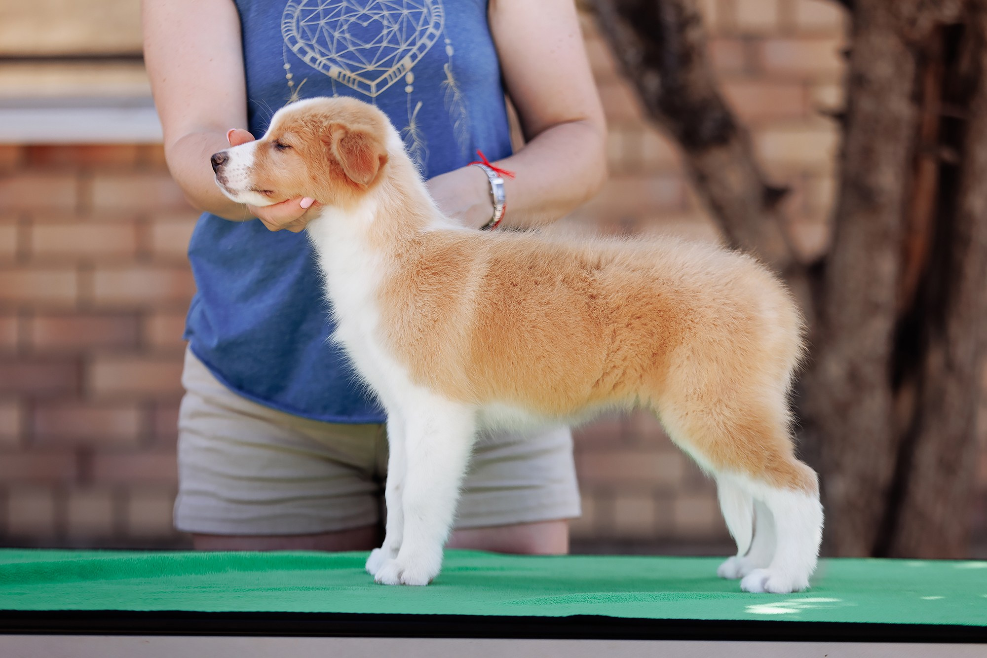 Трава у дома. О нас