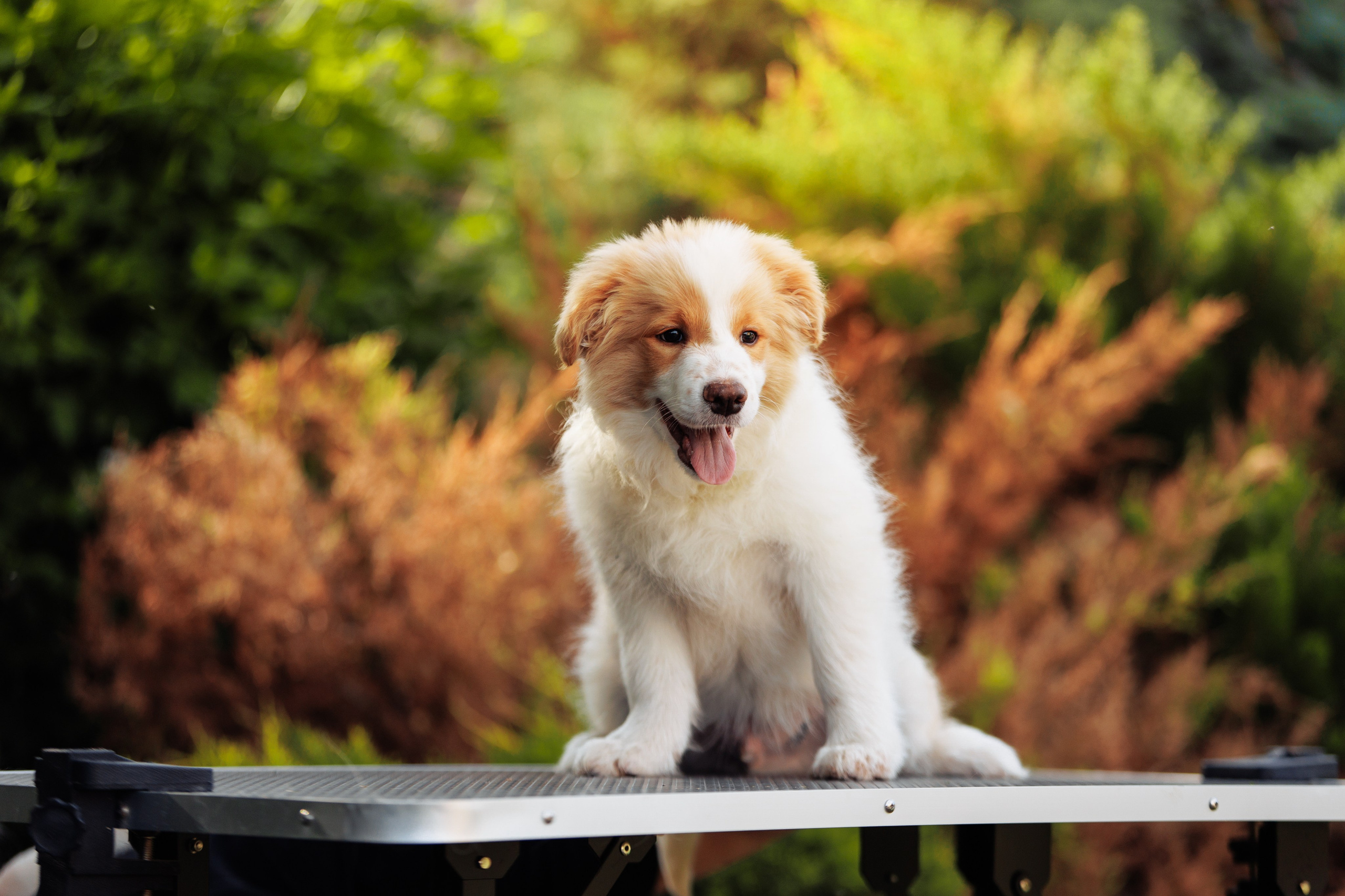 СОлнечные. О нас