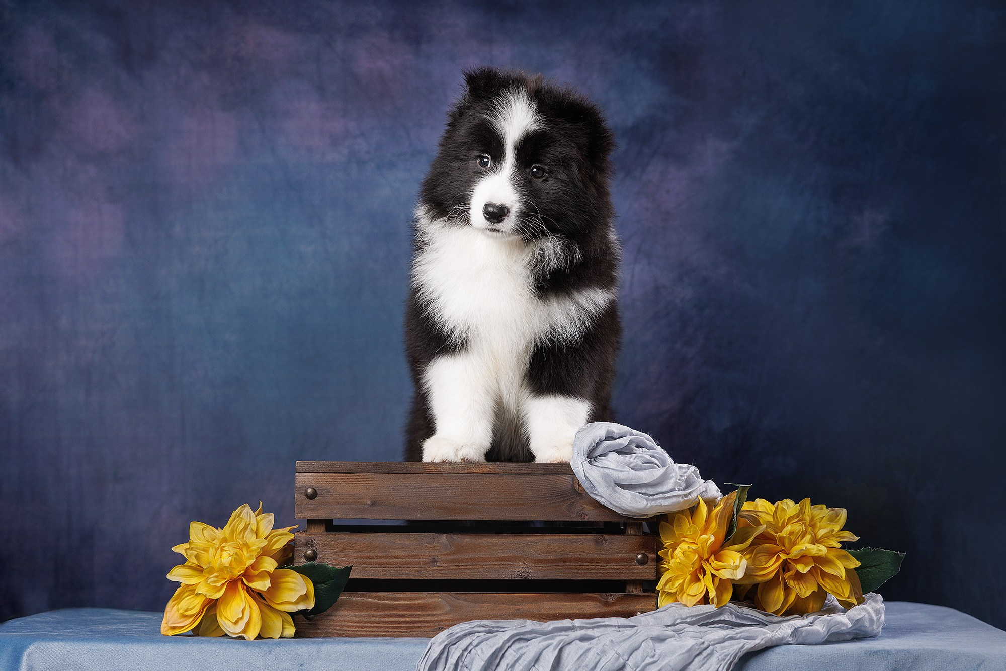 На водной основе. О нас