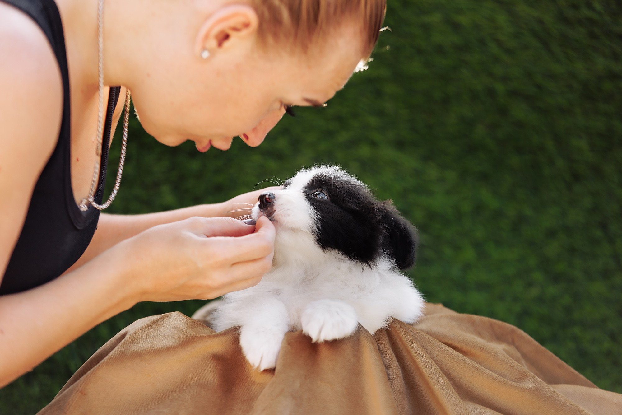 Новый лист. О нас