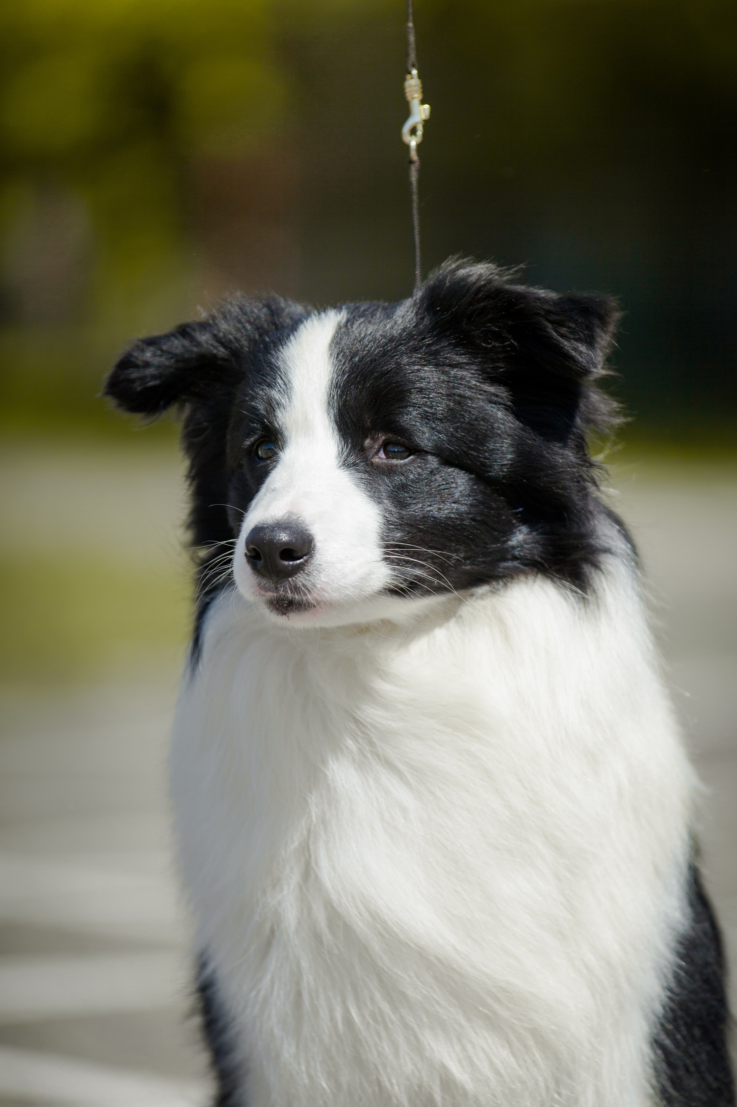 Зеленое в Оренбурге 19. О нас