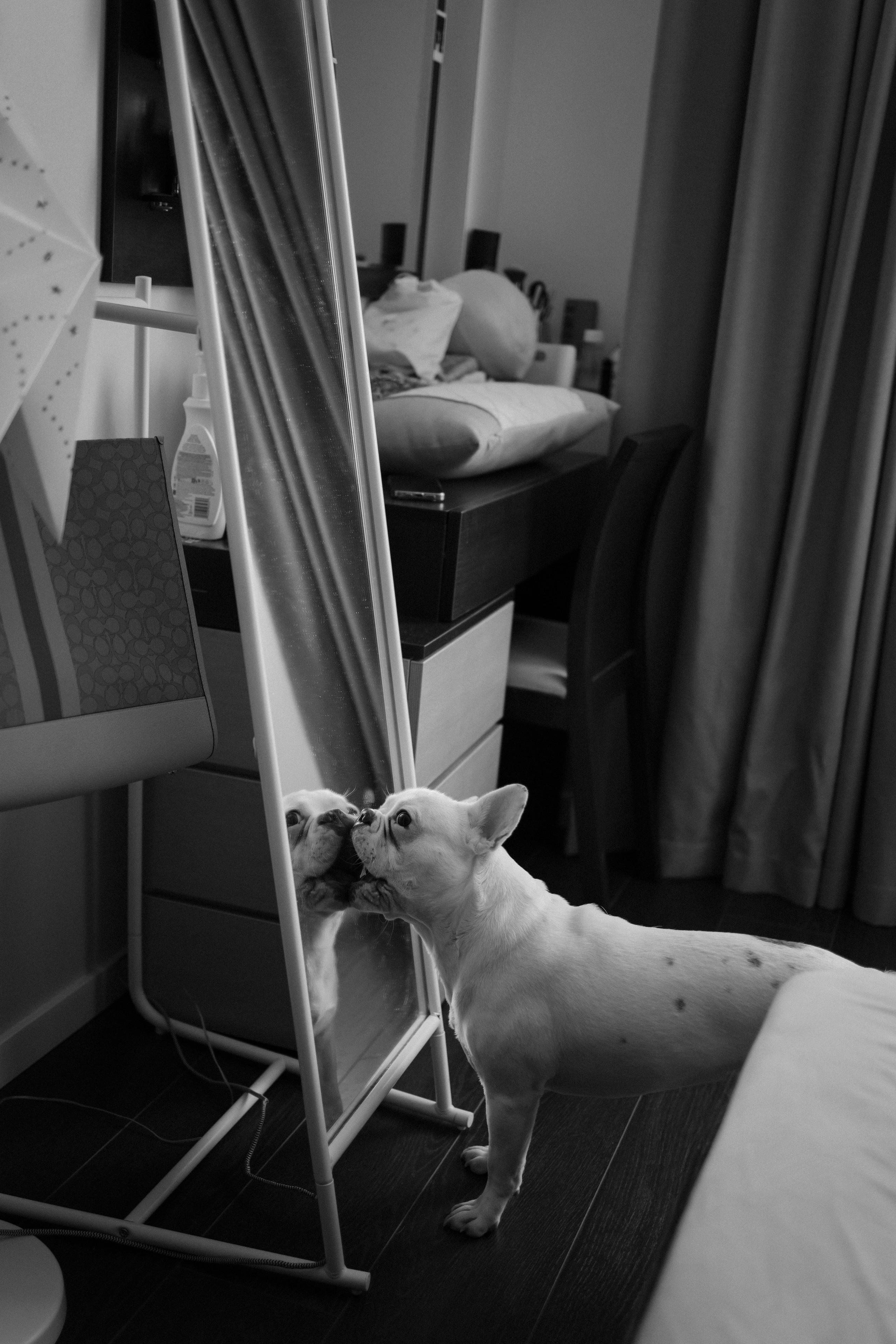 L&G. Свадебный фотограф Лиза Макатович Беларусь Минск