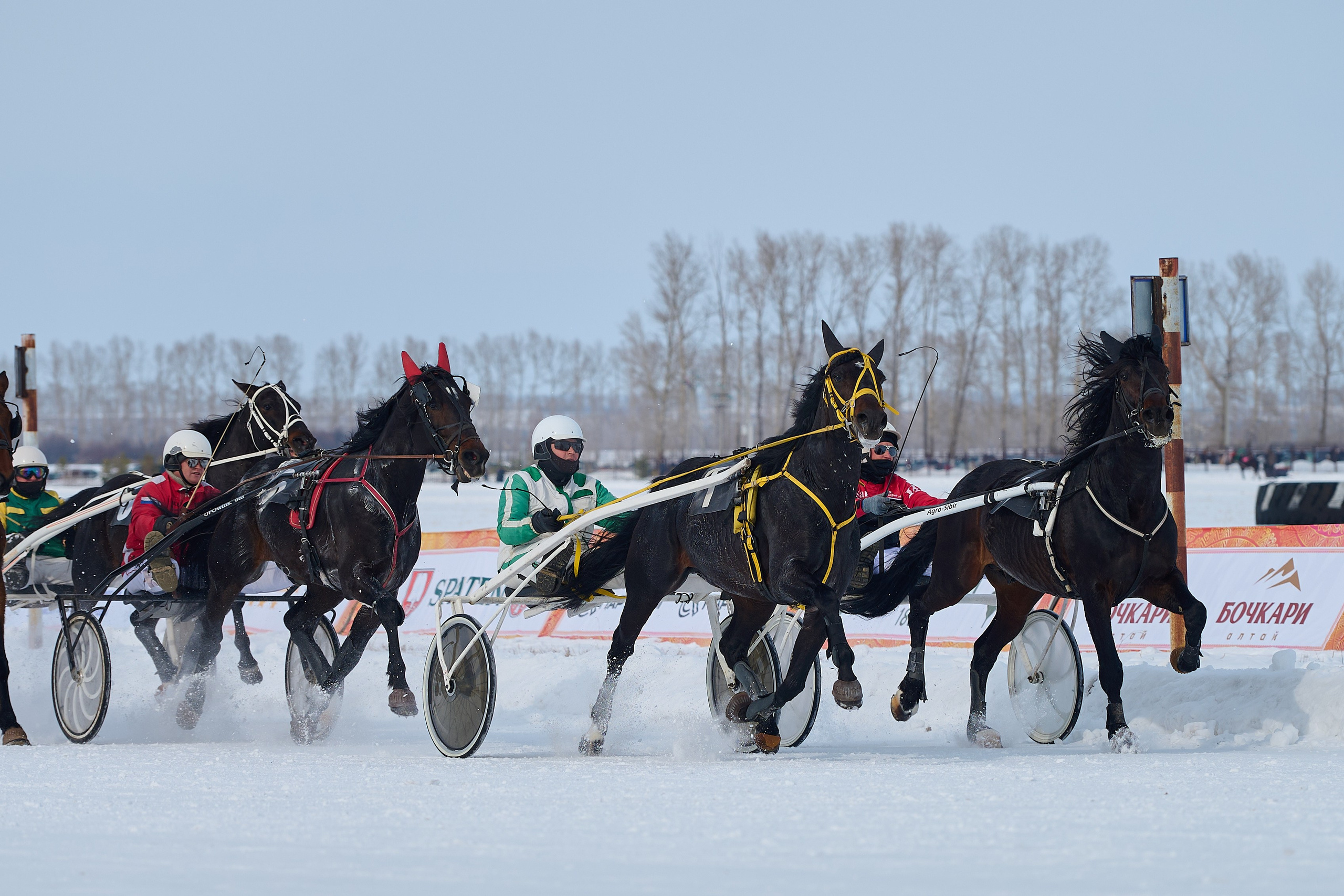 Сибирская масленица. Фотограф Опыт Качество Скорость Горный Алтай Барнаул