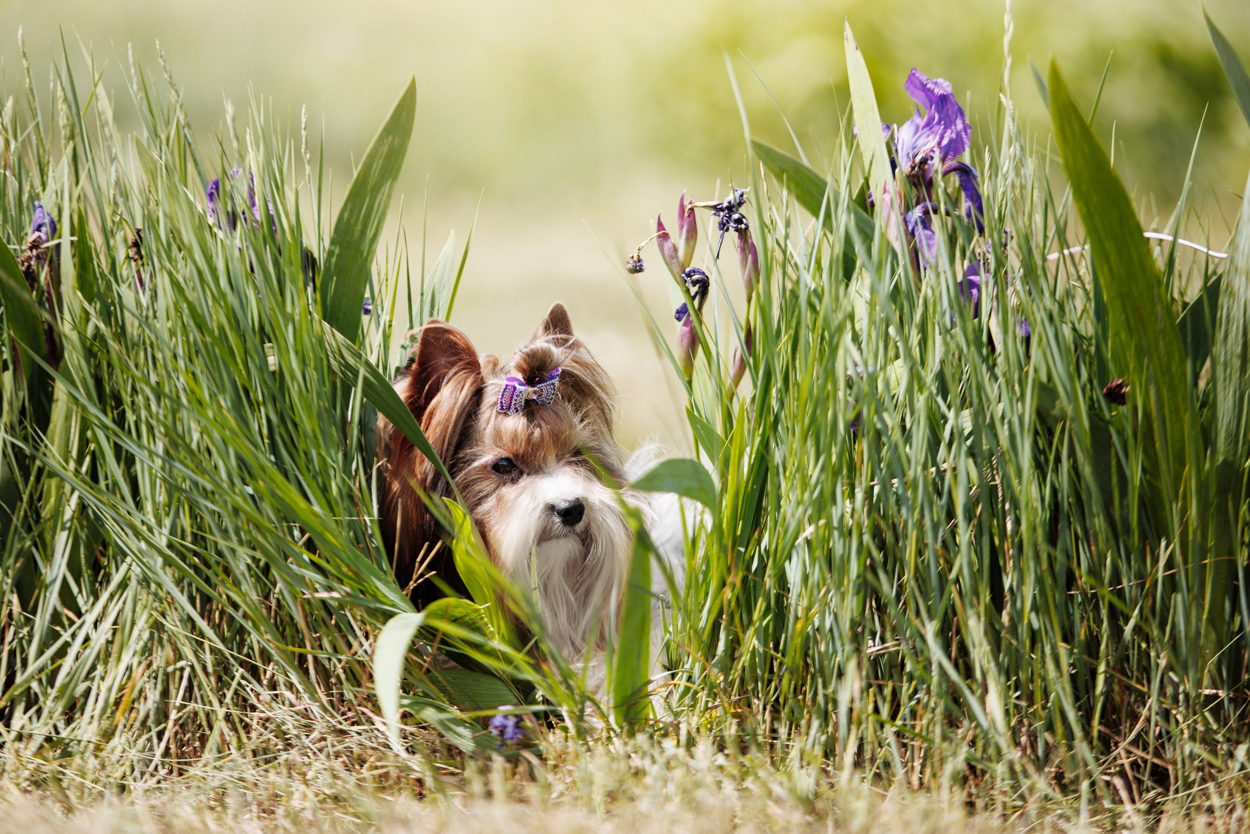 Такой разношерстный Орск 25. О нас