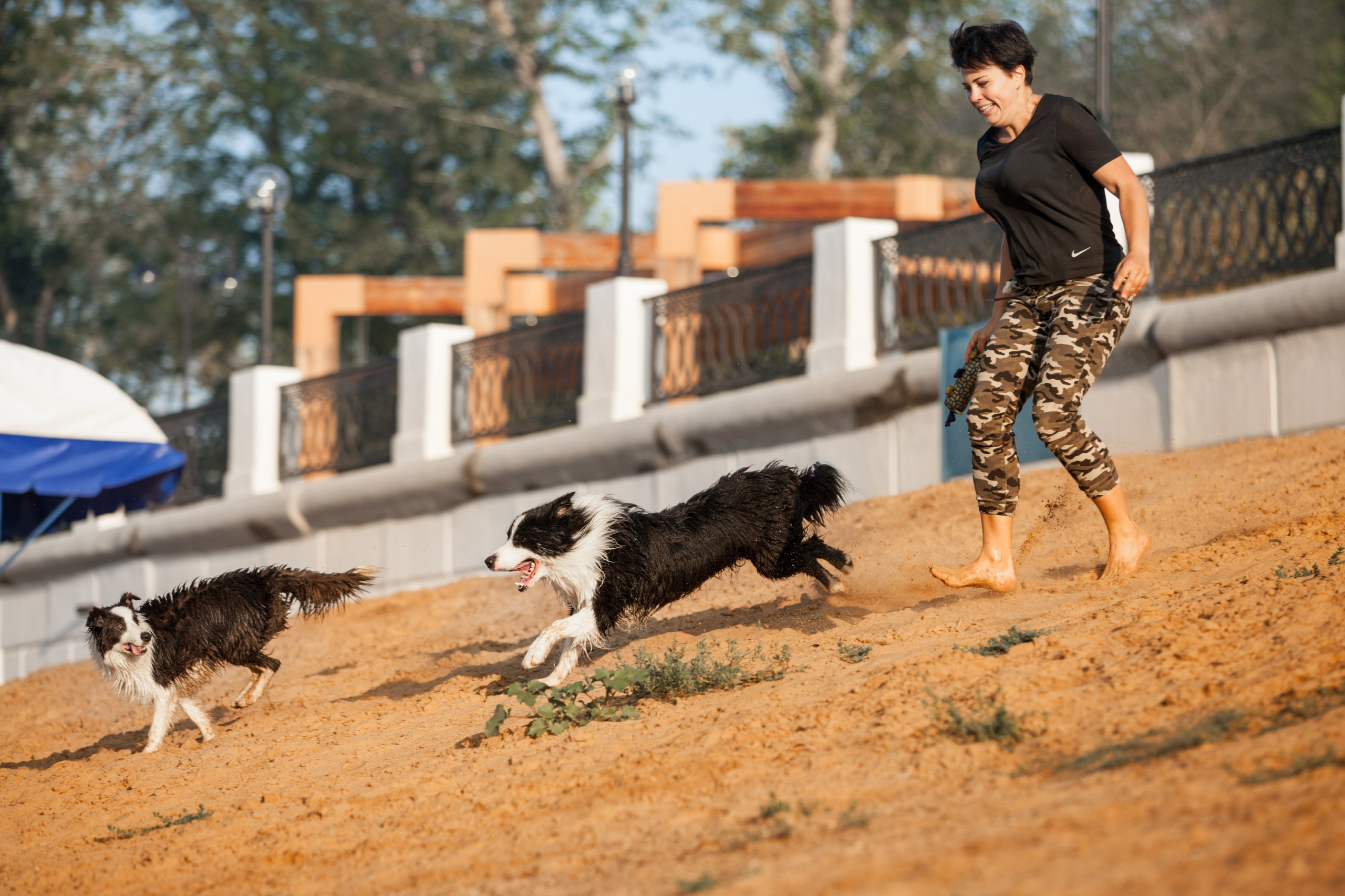 Сочный рассвет, на который решились. О нас