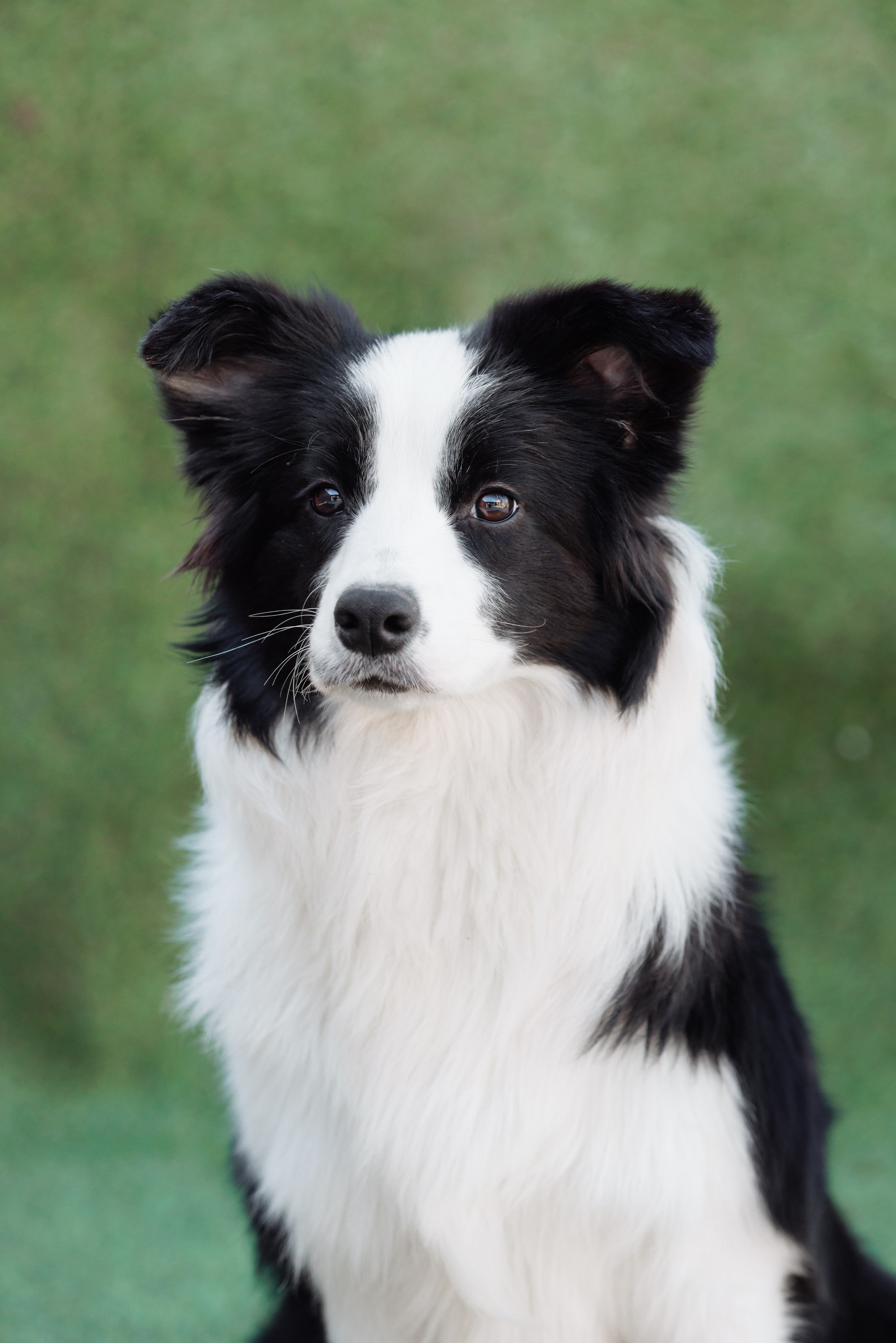 У дома с большой компанией от мала до велика. О нас