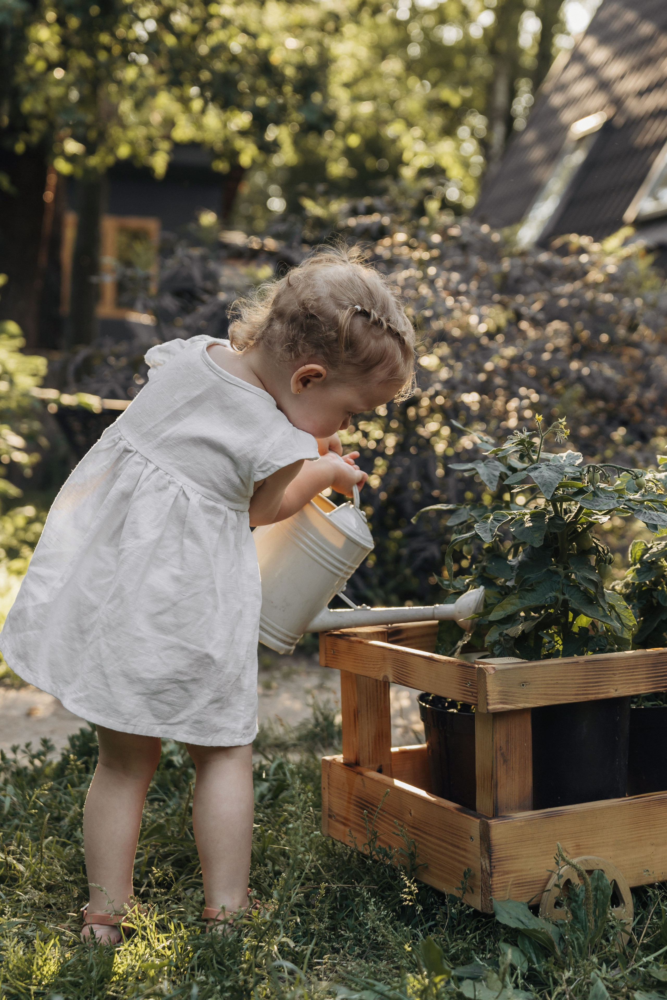 Лето в деревне. Ваш фотограф Вика Артемова
