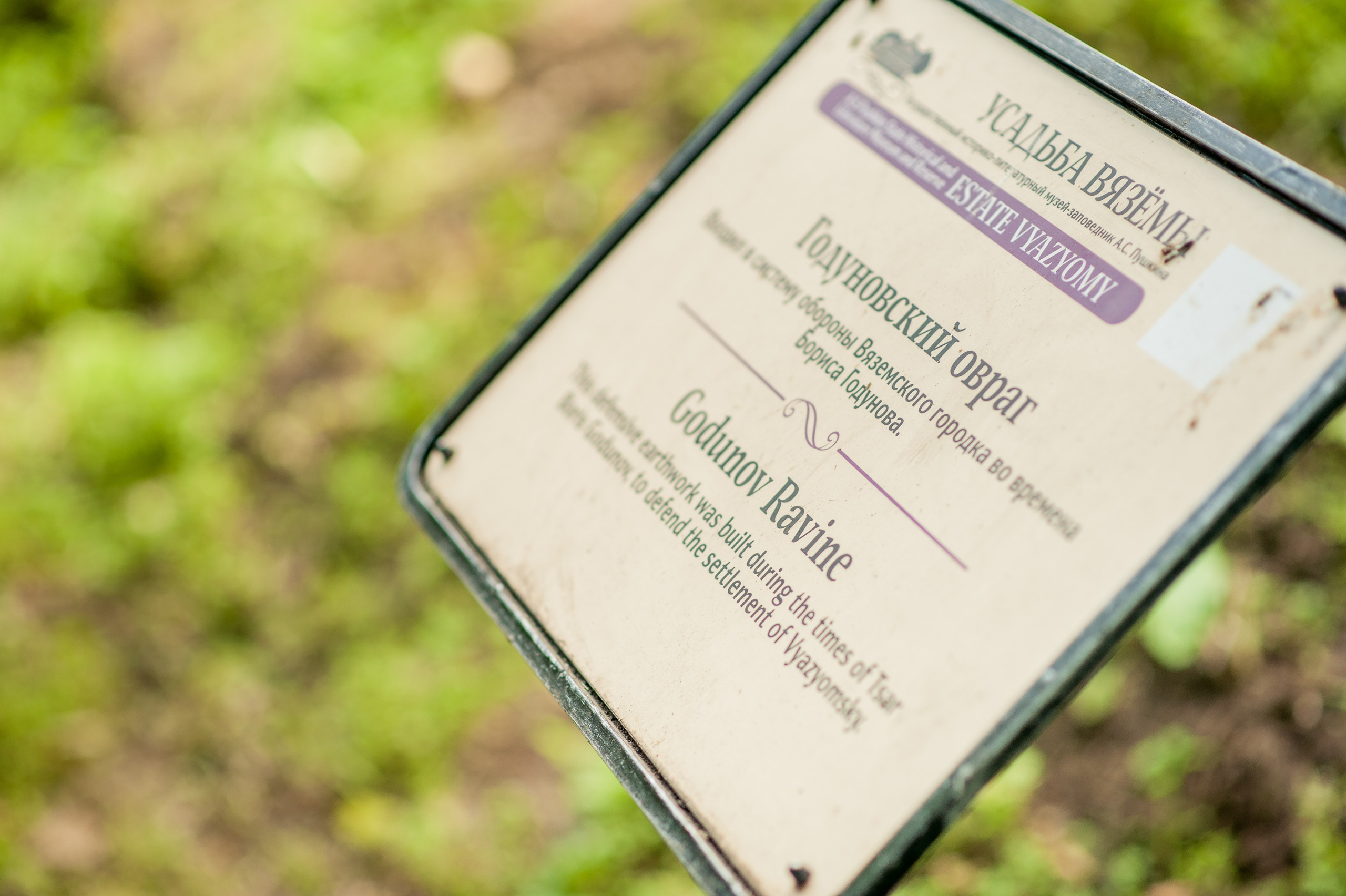 Александр и Елена. Дмитрий Черяник свадебный и семейный фотограф