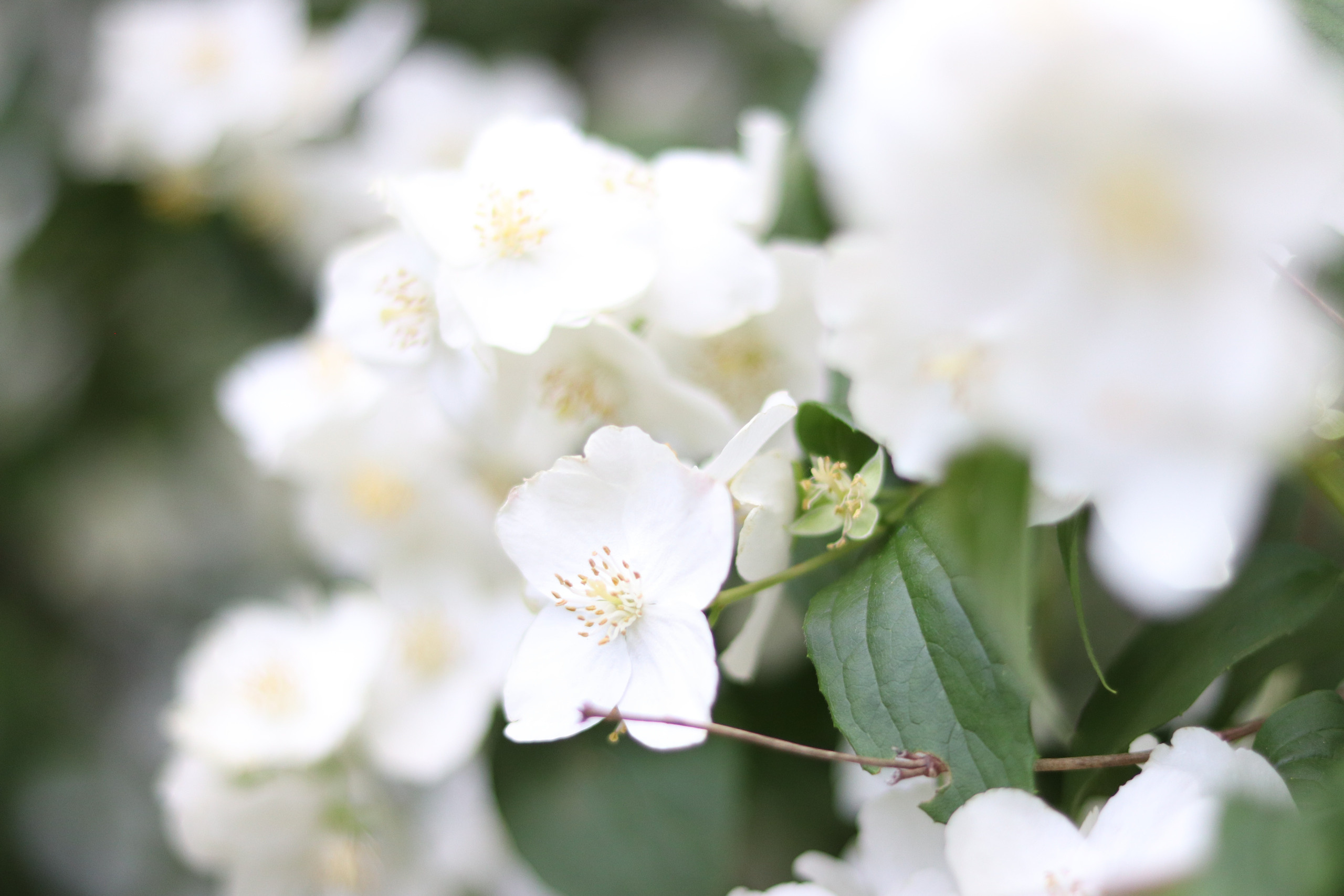 Mom's day. DariaVolz — photo shoots in Europe and Russia