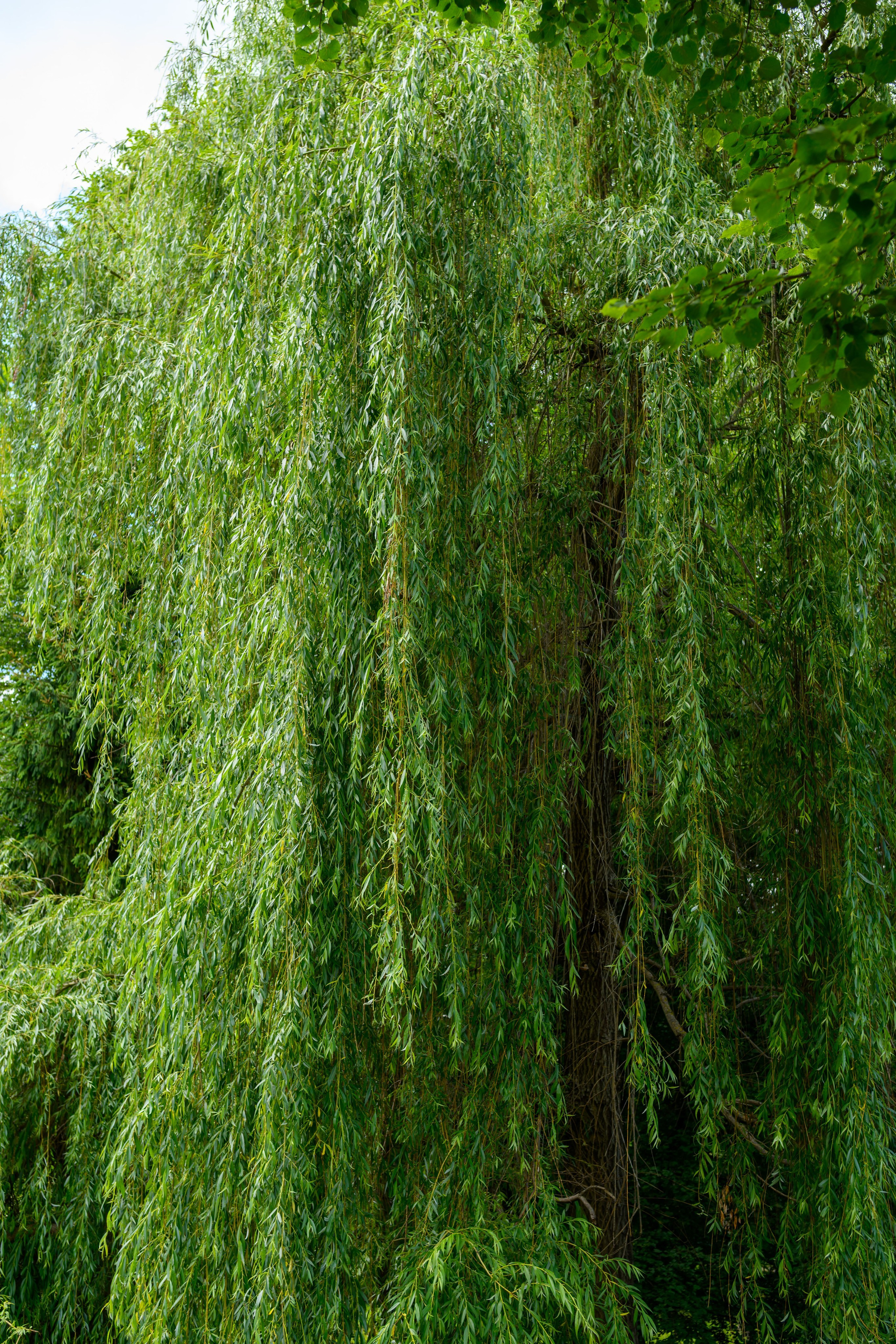 Пейзажики. Фотограф из Боровска в Калужской области