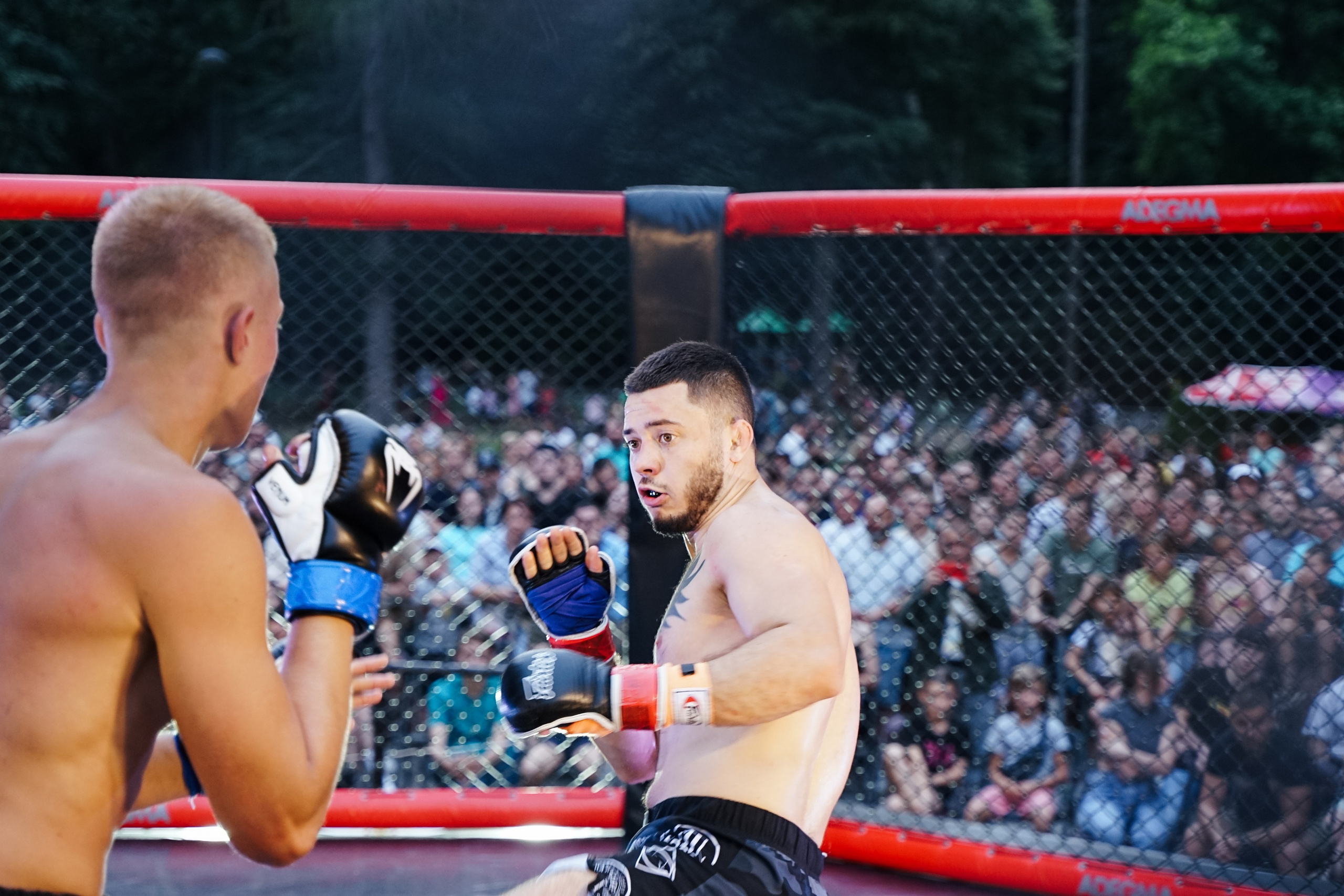 Вечер боев в ЦПКиО. Фотограф Надежда Погребняк | Рязань | Москва