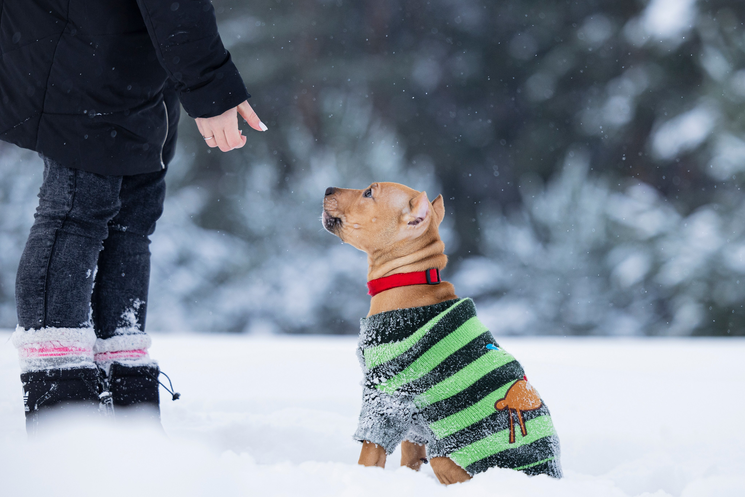 Миура. Фотограф-анималист Анна Маринич