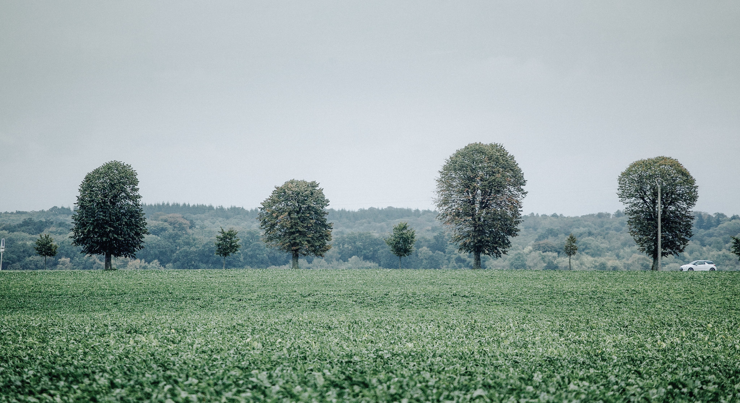 Travel. Лена Крутова. Фотограф в Москве
