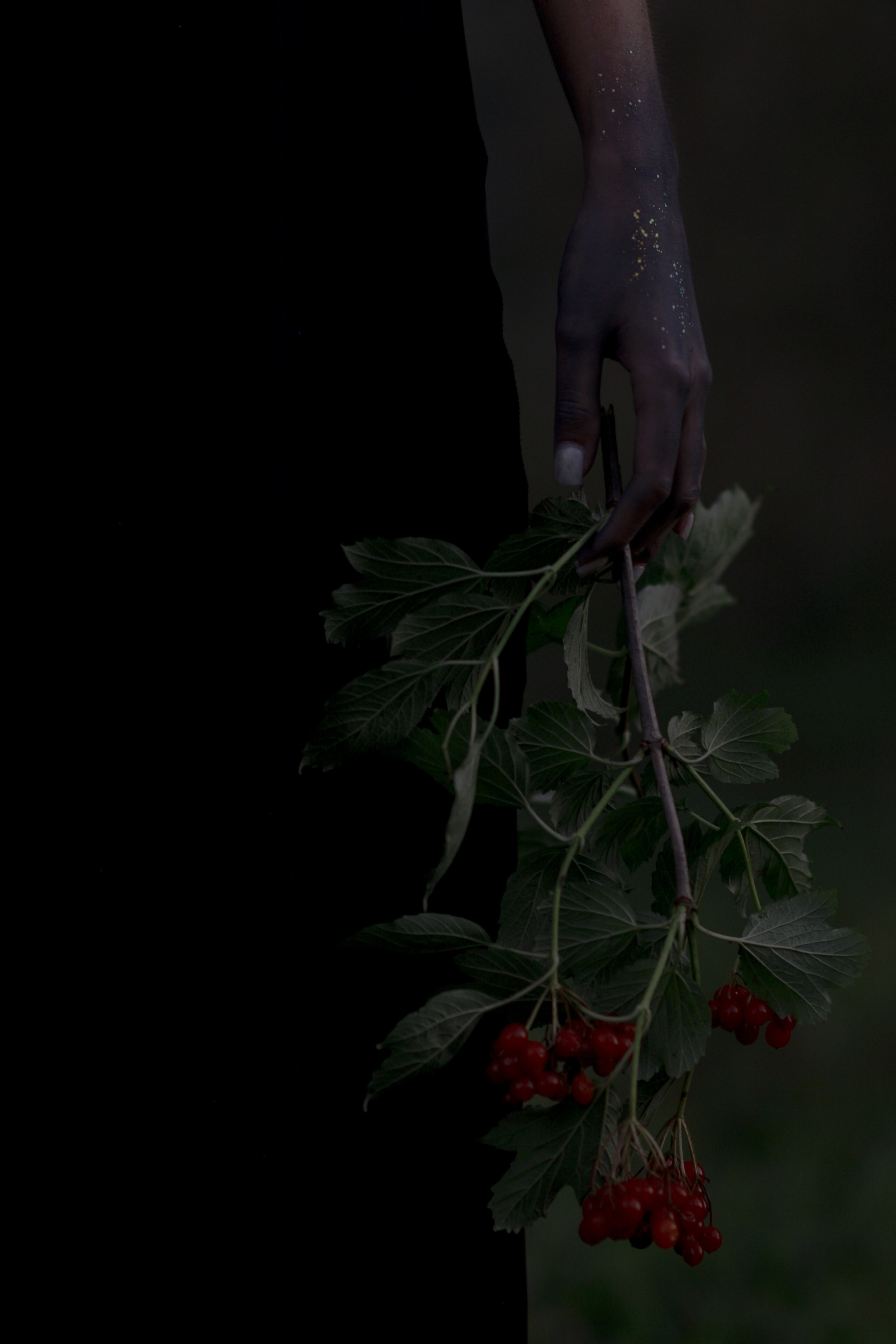 Варвара. Лиза Рязанцева