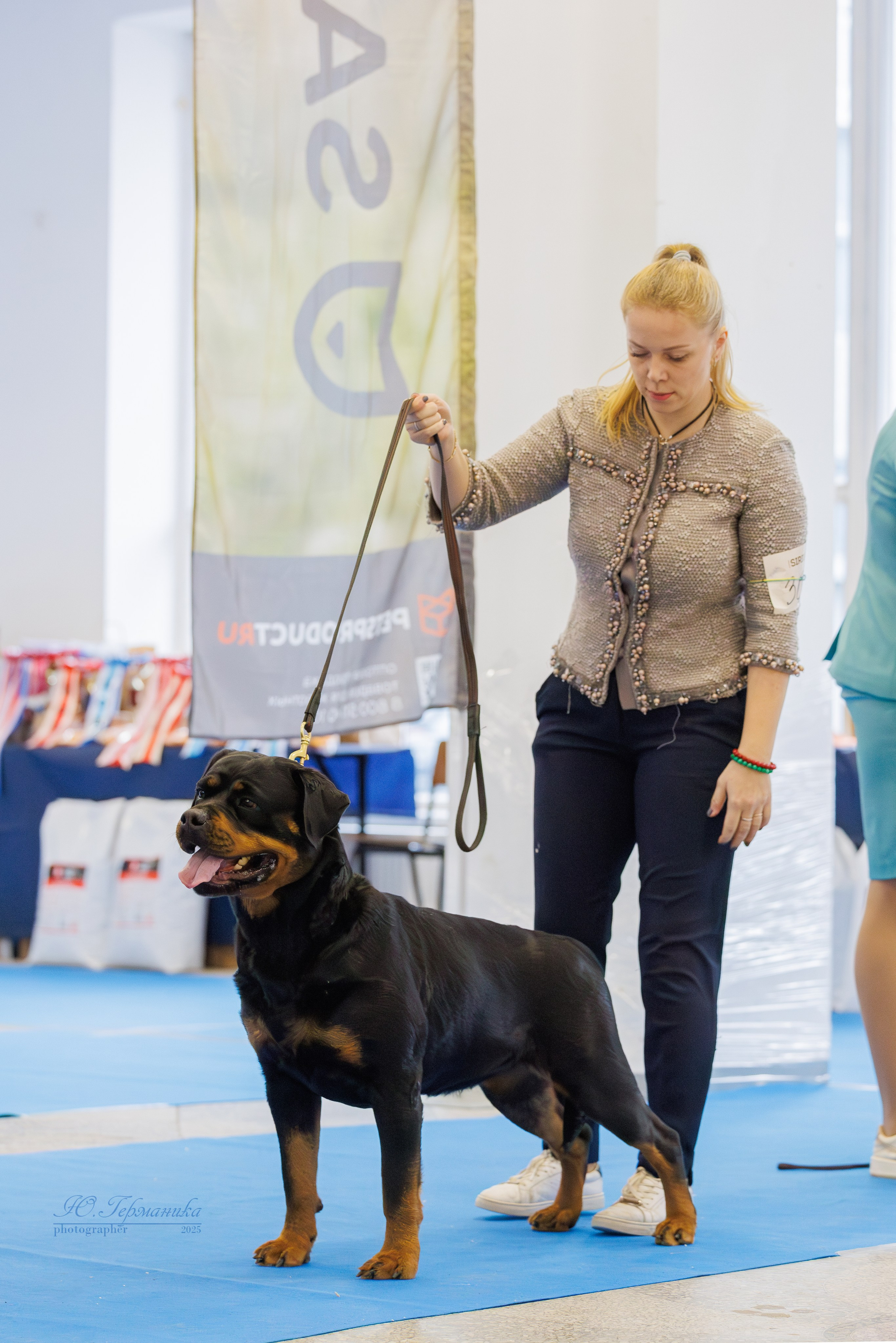 Питер ротвейлеры 18.01,Крокус 19.01.2025. Фотограф-анималист Юлия Германика