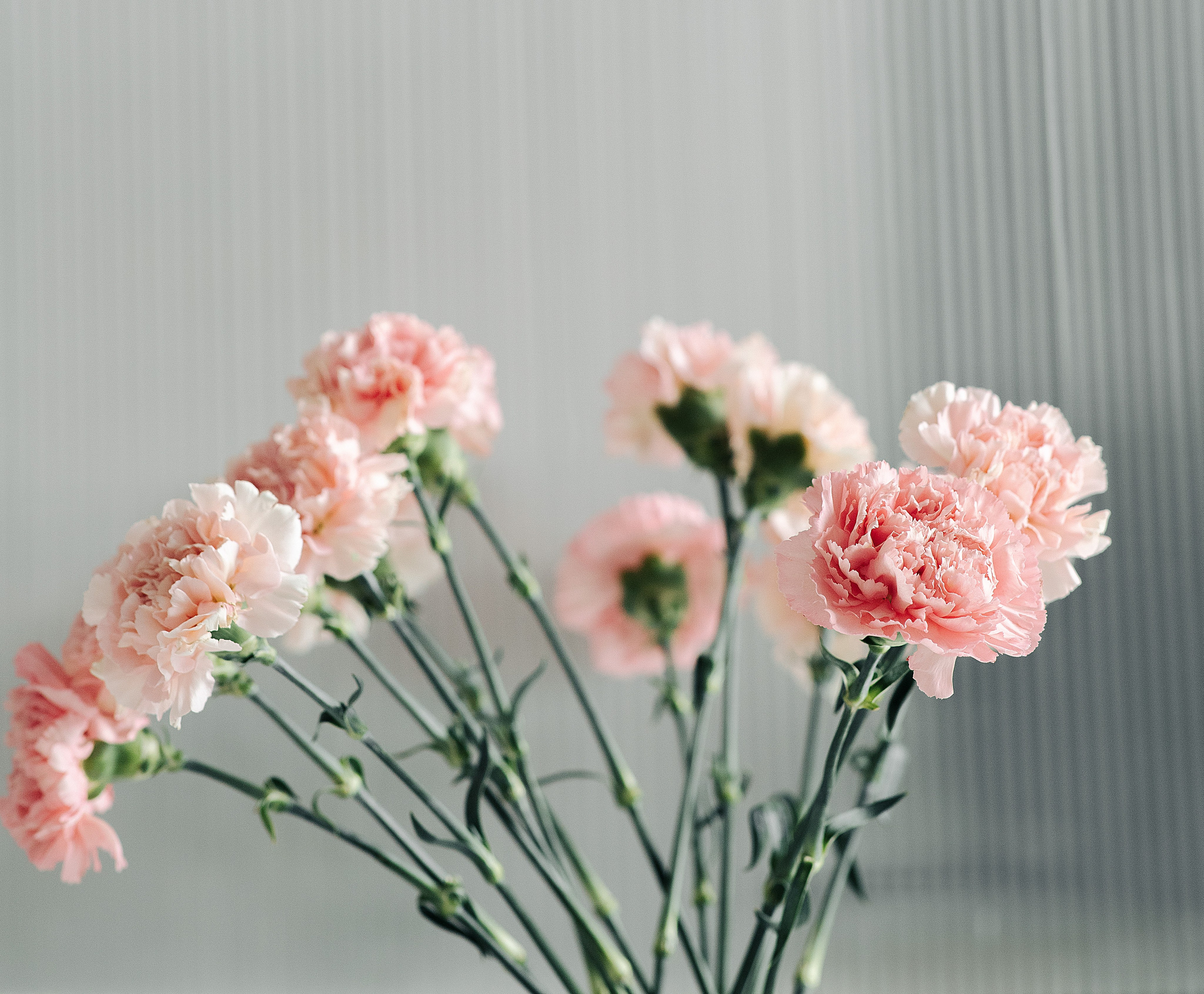 Anastasia. Wedding inspiration. Свадебный фотограф Ростов-на-Дону Виолетта veslers.ph