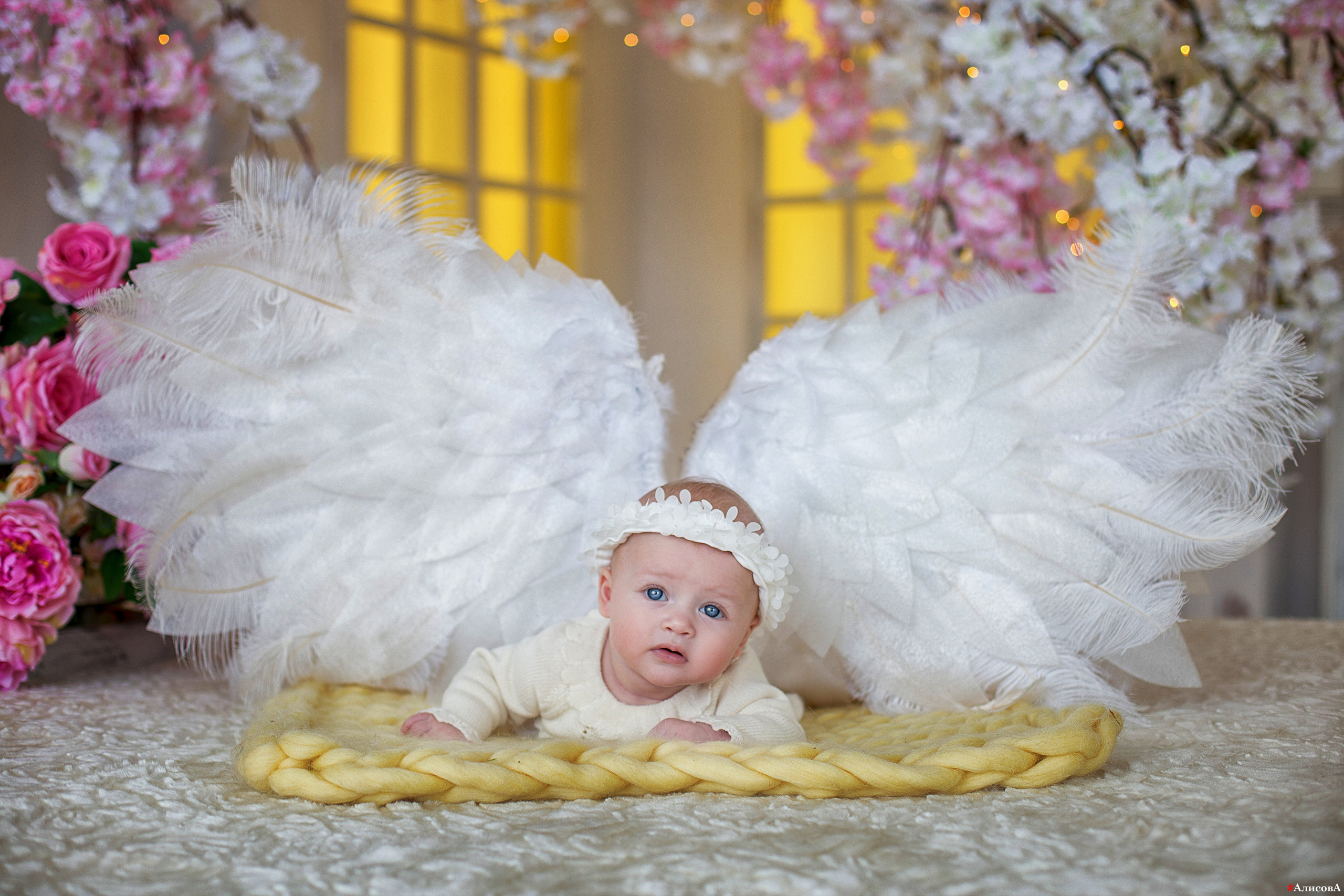 Малыши до года. Семейный, свадебный и детский фотограф в г. Калуге Алисова Александра