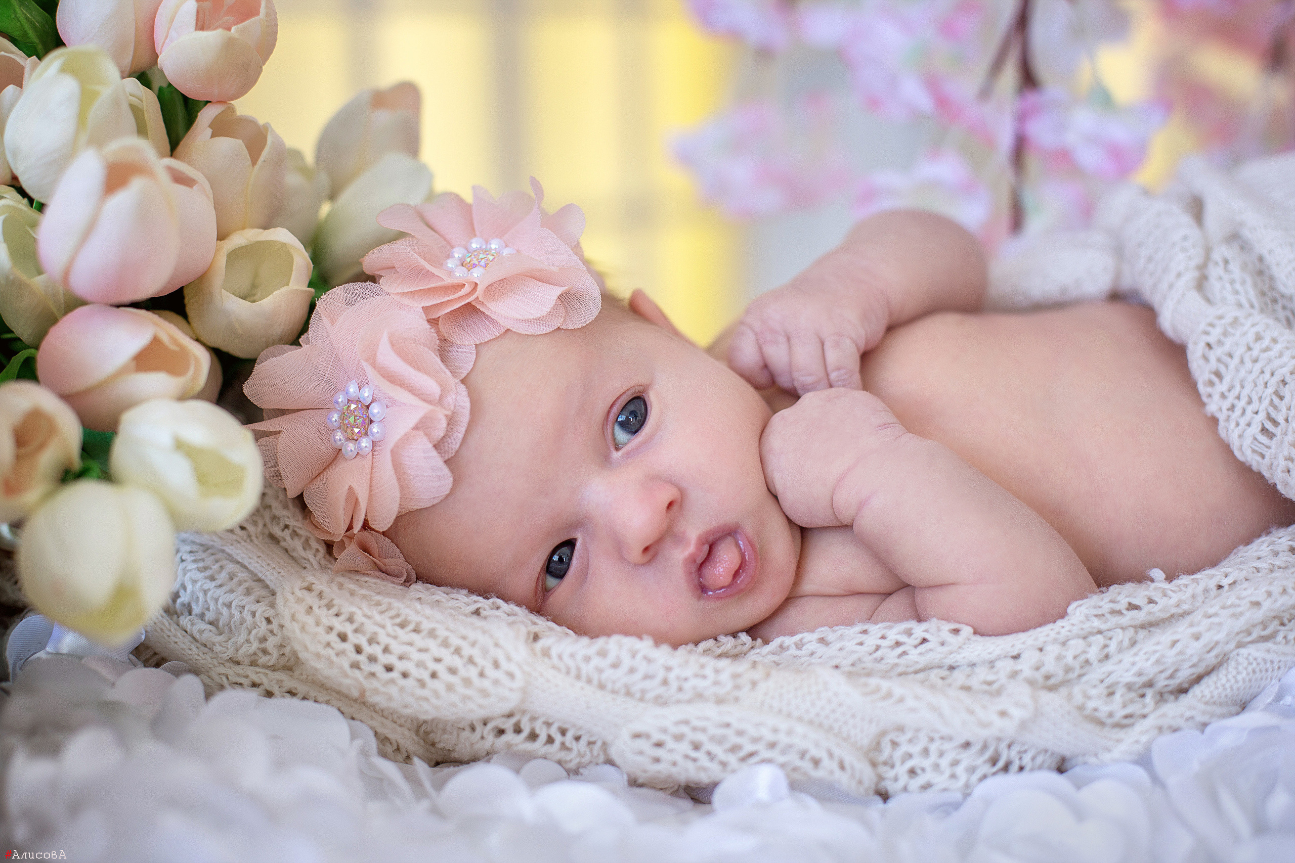 Малыши до года. Семейный, свадебный и детский фотограф в г. Калуге Алисова Александра