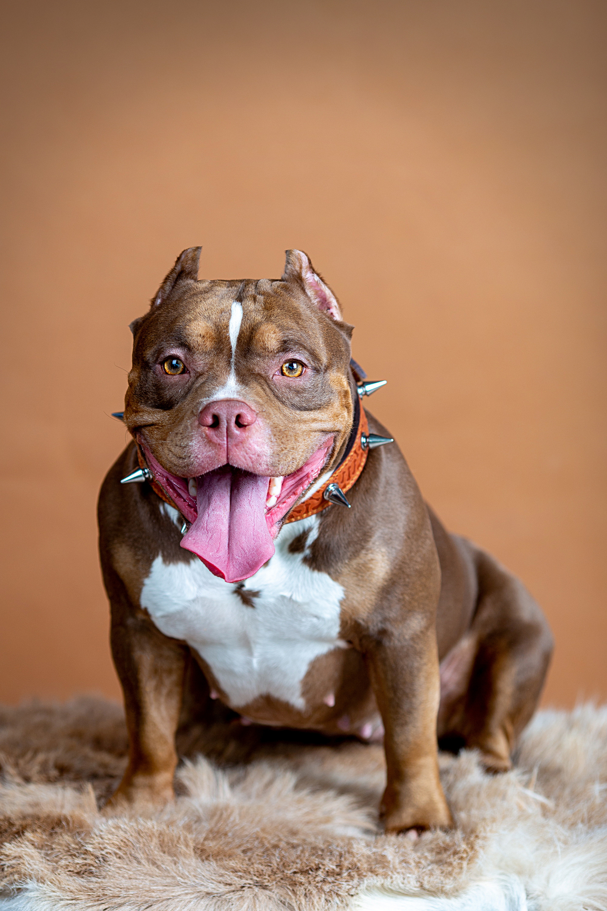 Животные. Семейный, свадебный и детский фотограф в г. Калуге Алисова Александра