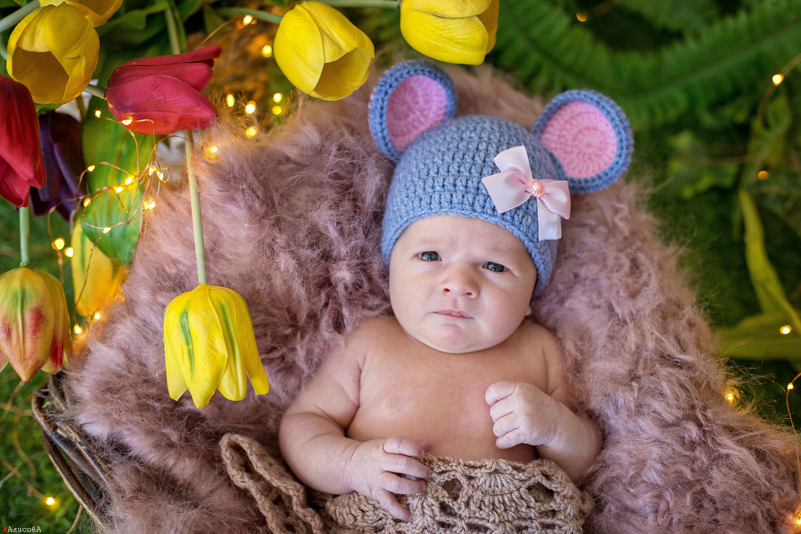 Малыши до года. Семейный, свадебный и детский фотограф в г. Калуге Алисова Александра