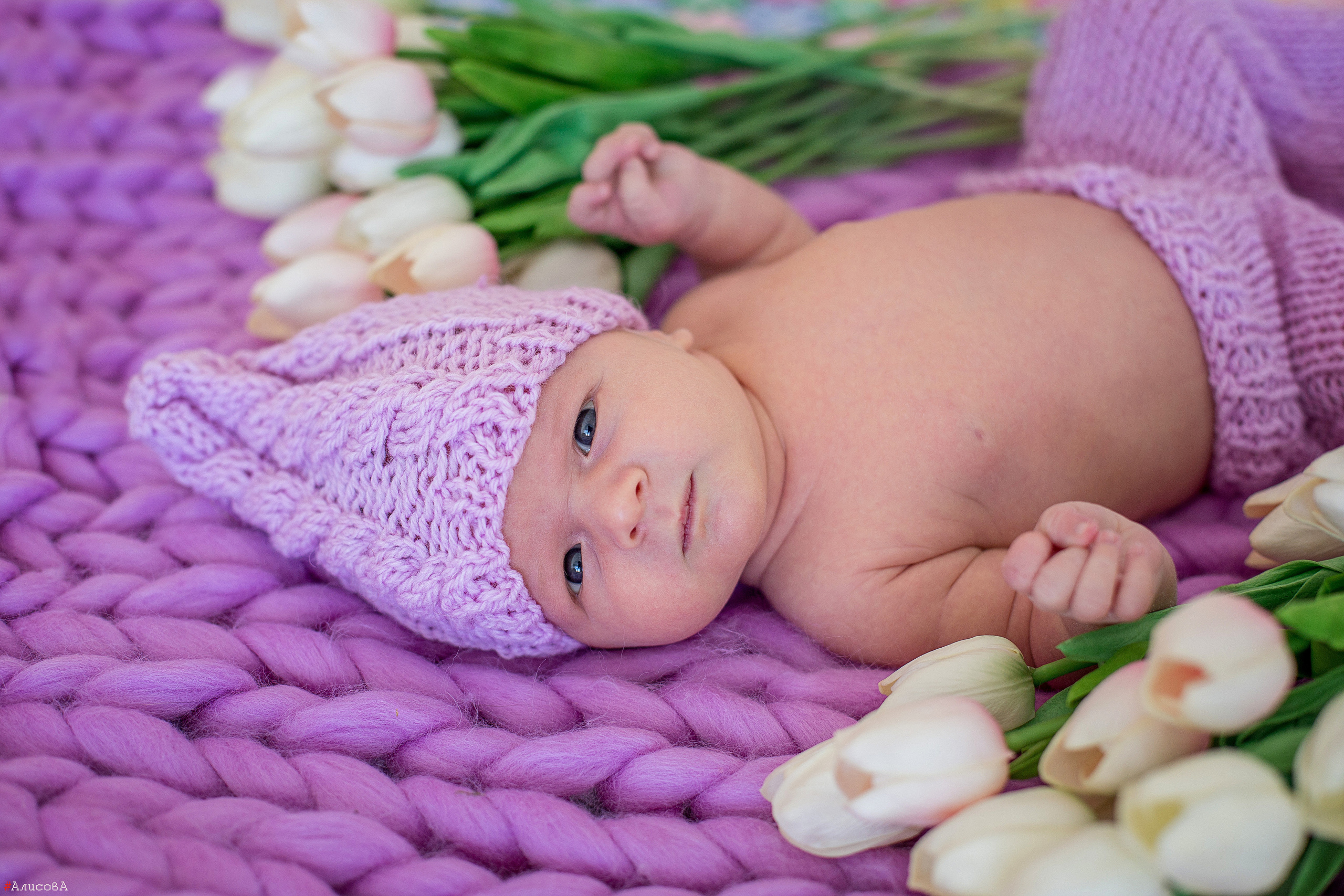 Малыши до года. Семейный, свадебный и детский фотограф в г. Калуге Алисова Александра