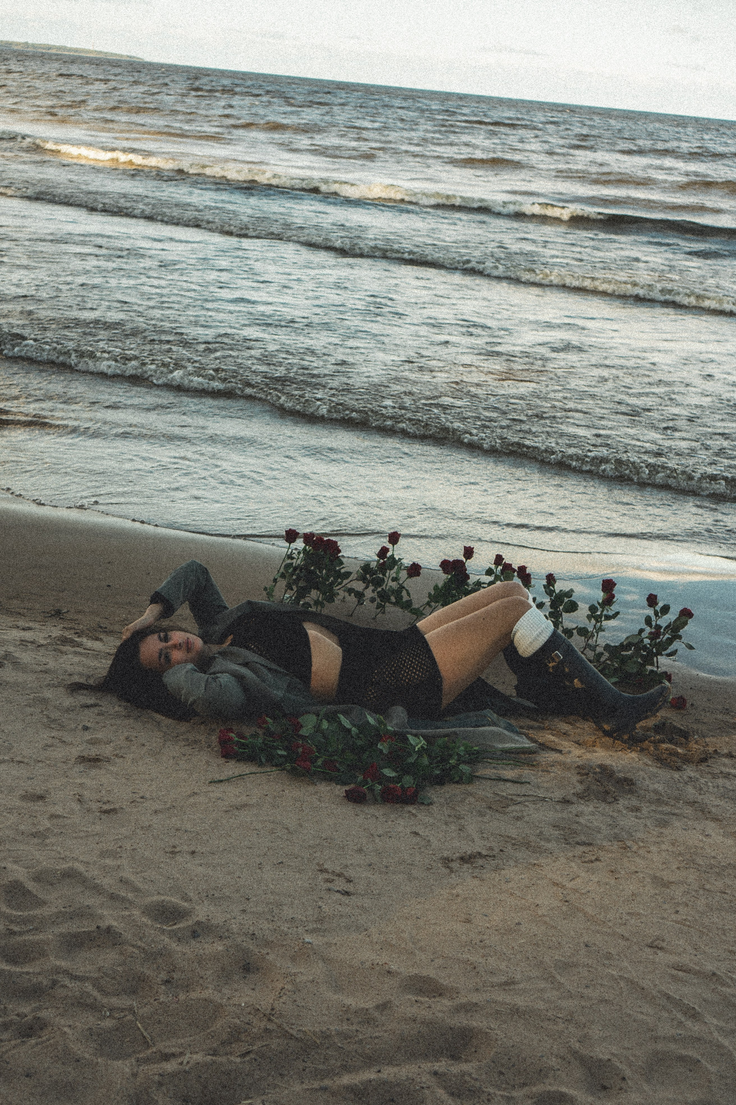 Розы. Профессиональный фотограф, Санкт-Петербург — Виктория Богомолова