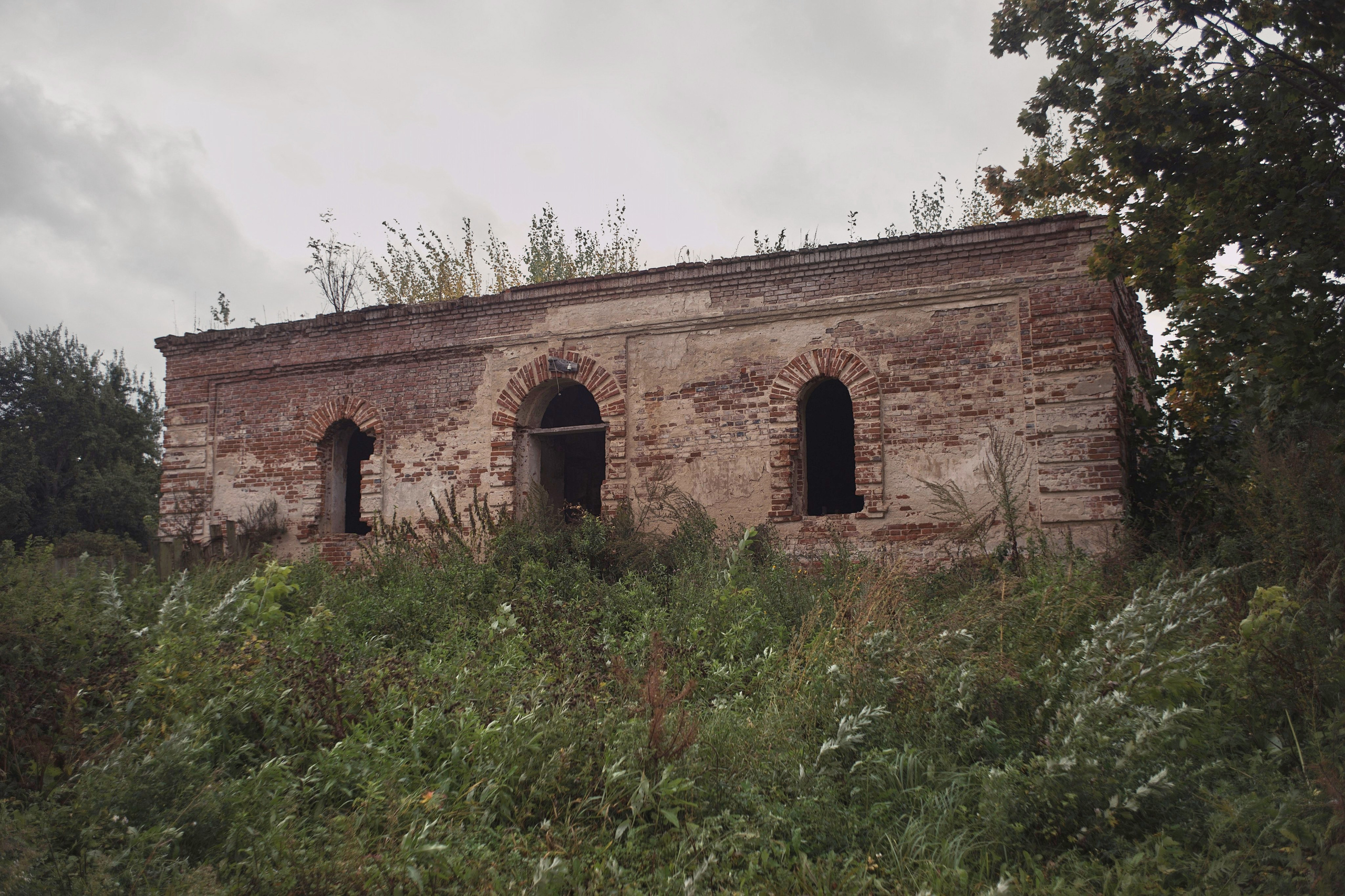 Чекалинцы 2. Дмитрий Ермаков. Фотограф