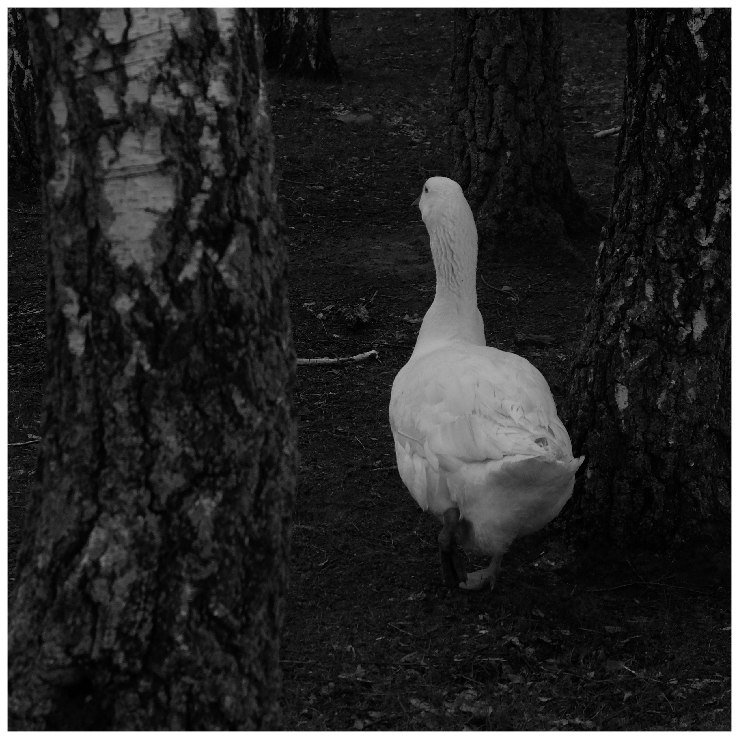 Промежуточные моменты (2022)