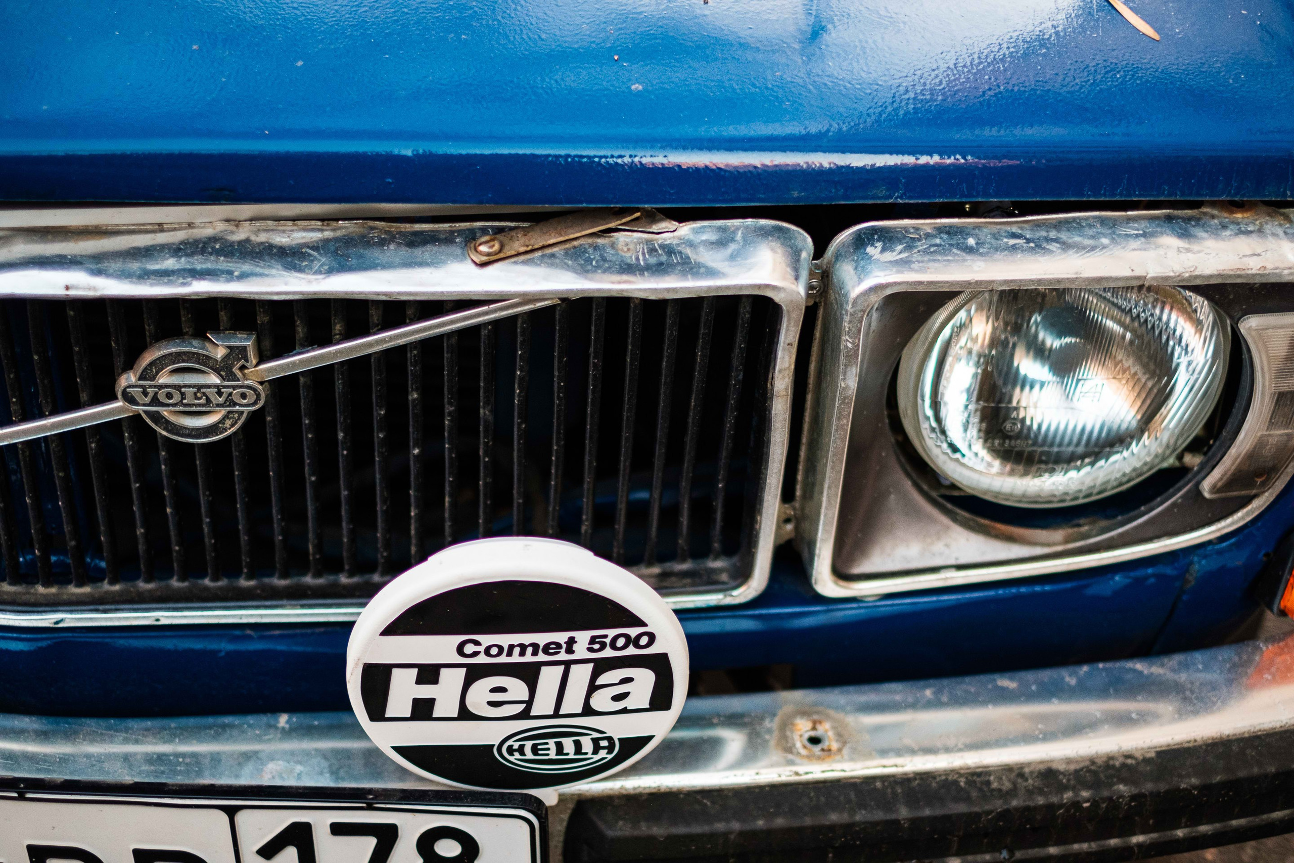 2021.11. Фотограф Алексей Алексеев